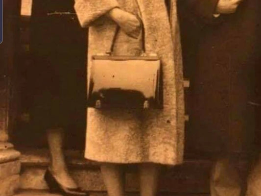 Vintage Delvaux Handbag