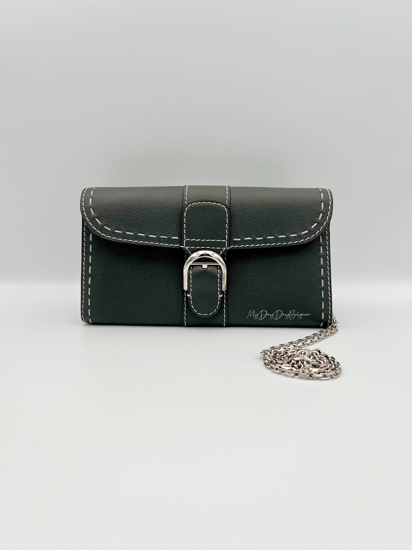 Delvaux Brillant Wallet on Chain Crossbody / Shoulder Bag stone 2023
