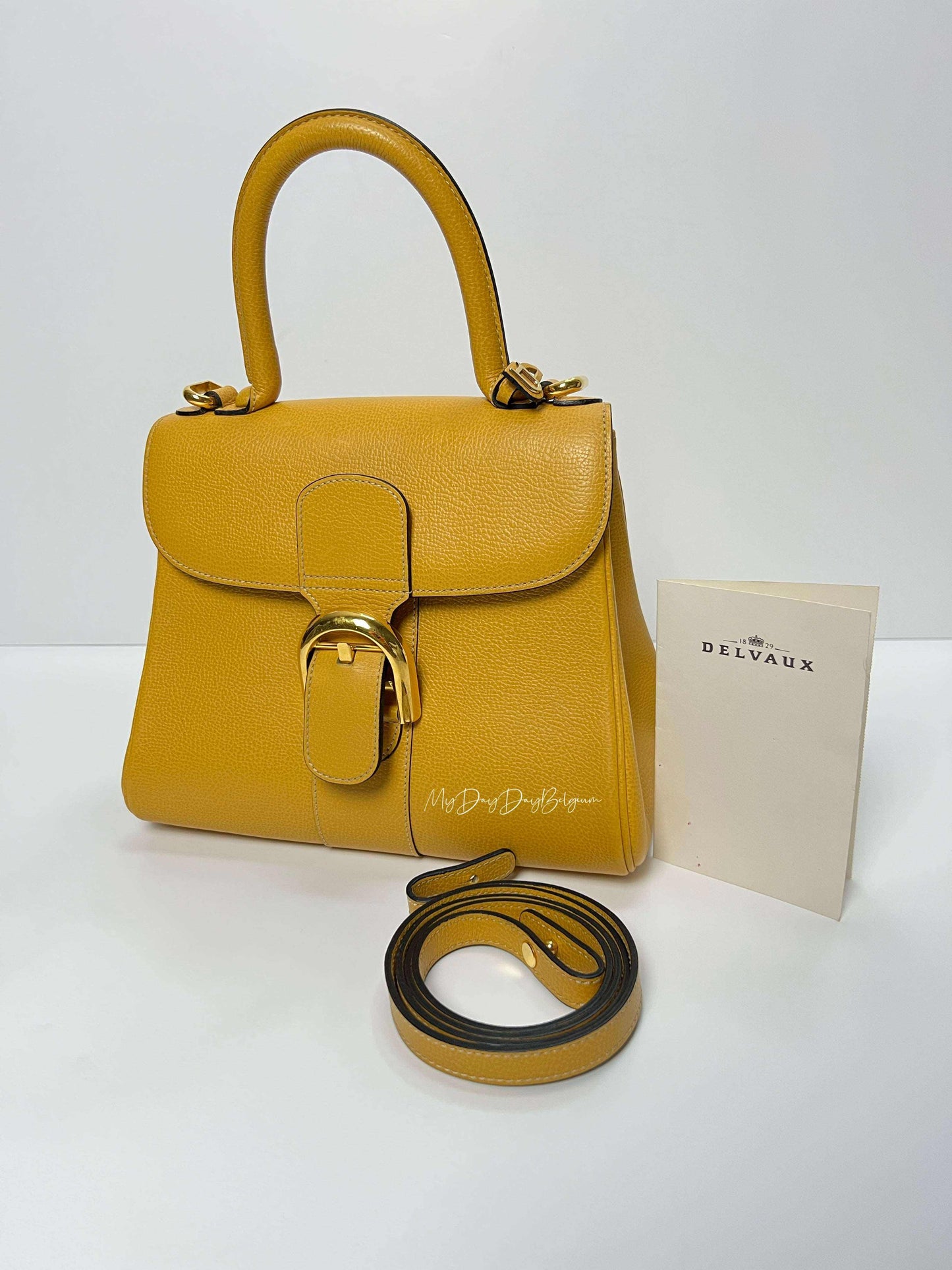 Delvaux Brillant