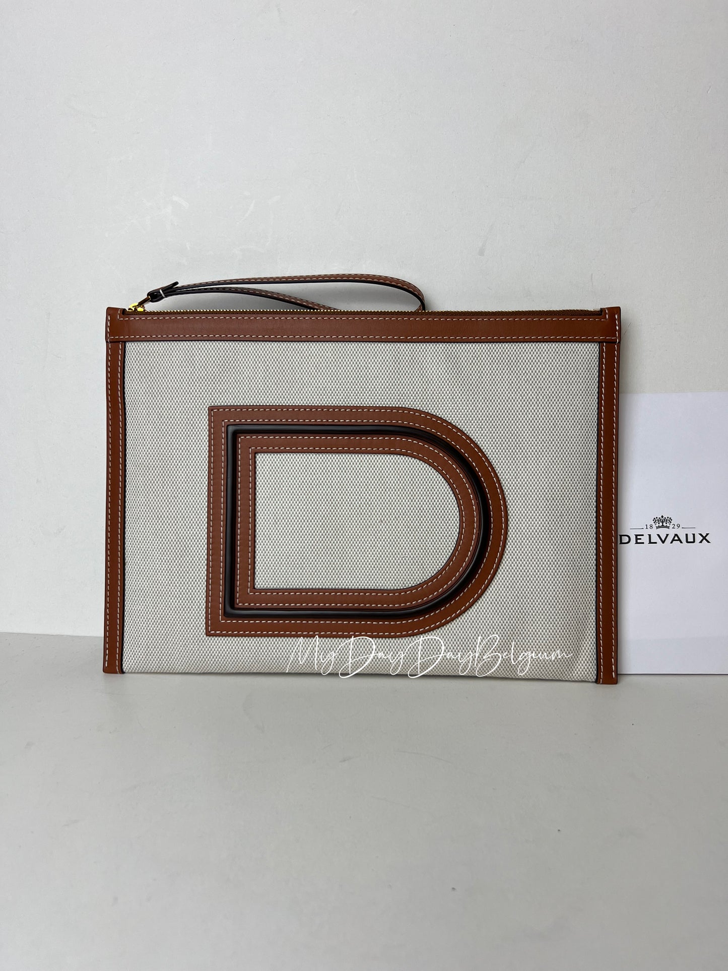 Delvaux Frame Pouch Canvas 2022