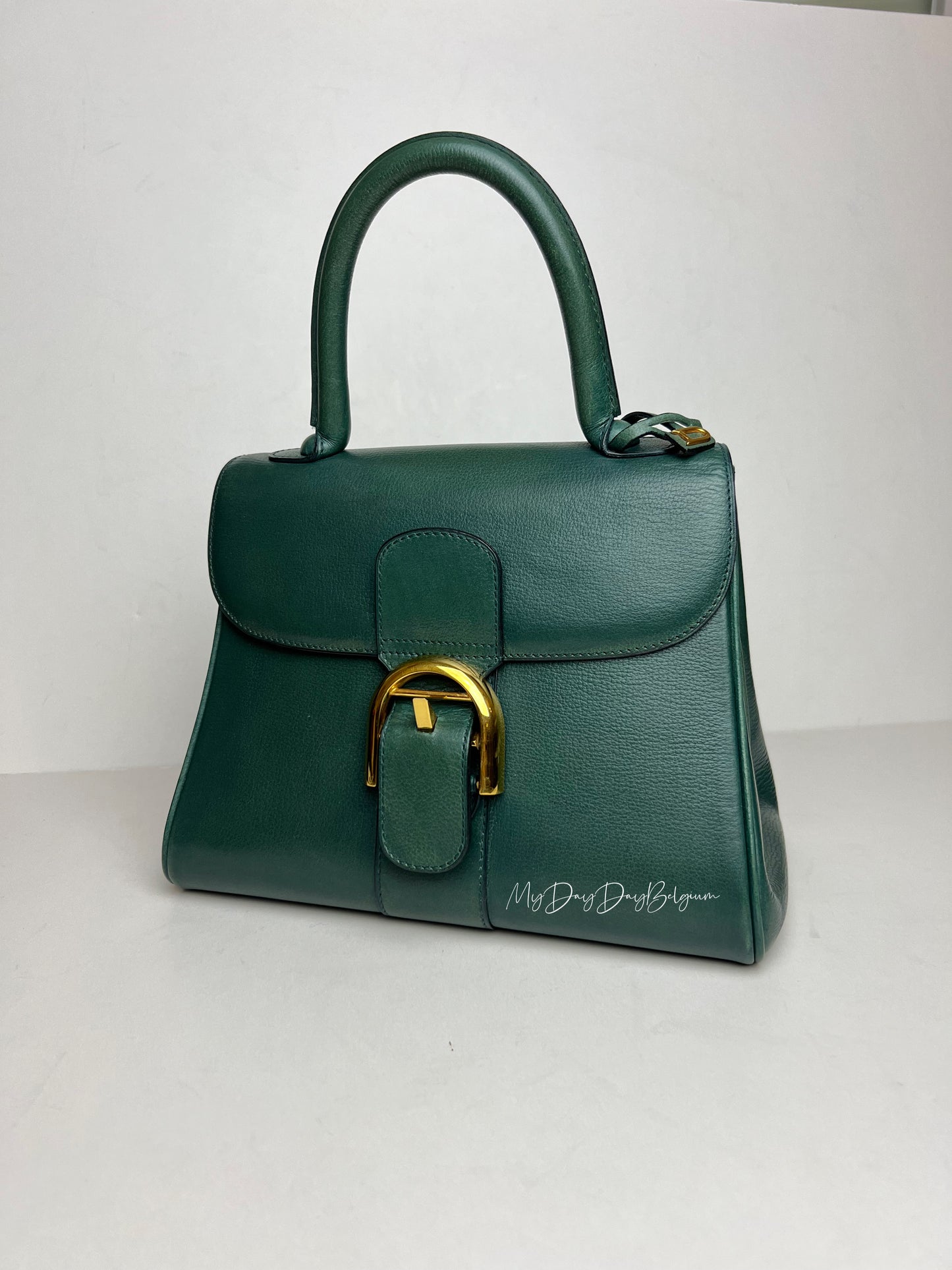 Delvaux Brillant PM in Pine