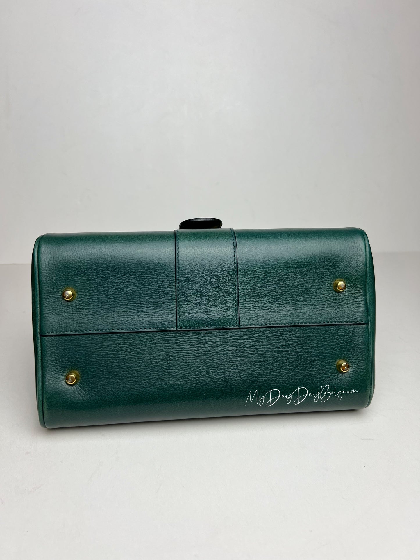 Delvaux Brillant PM in Pine