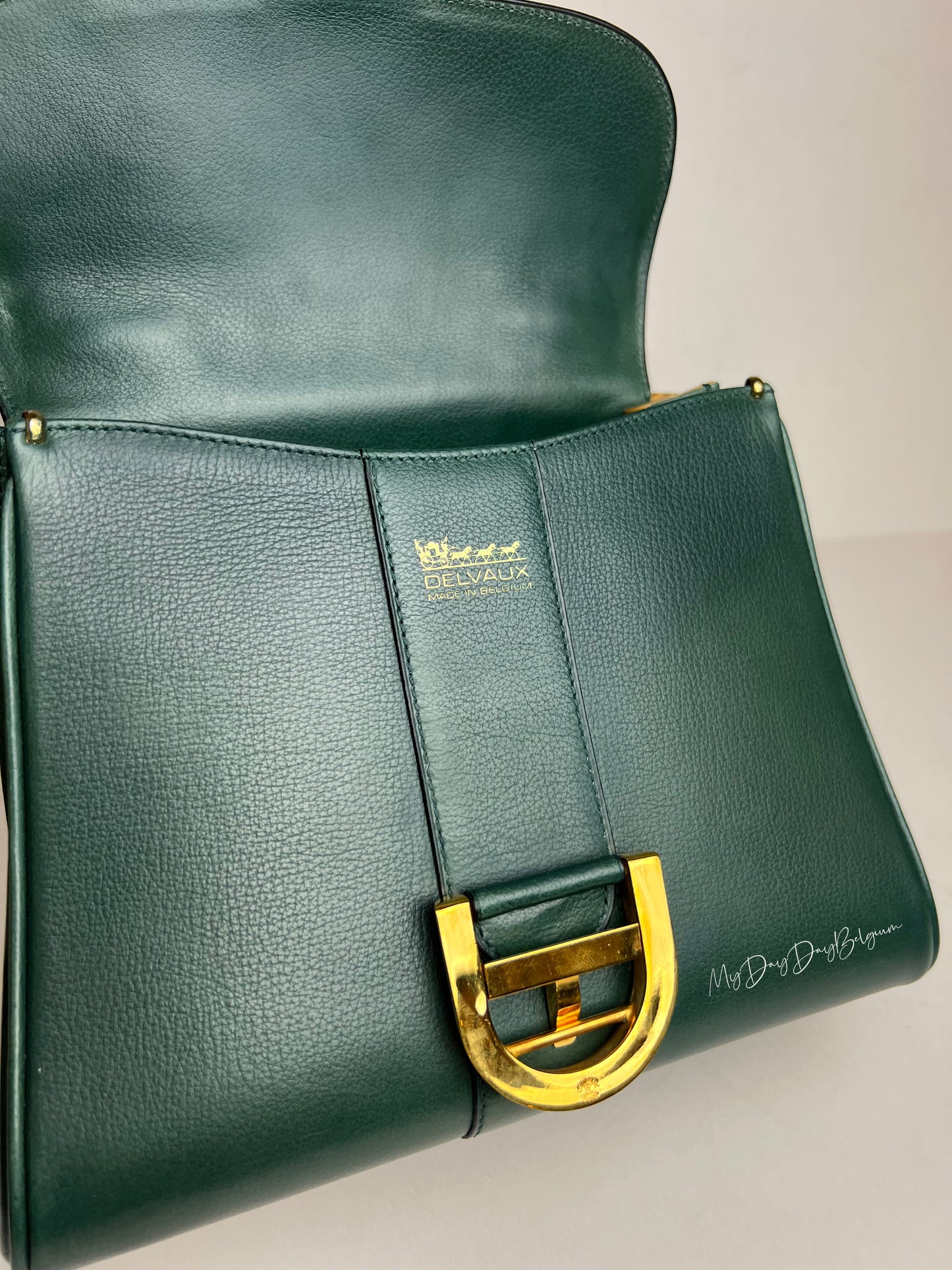 Delvaux Brillant PM in Pine