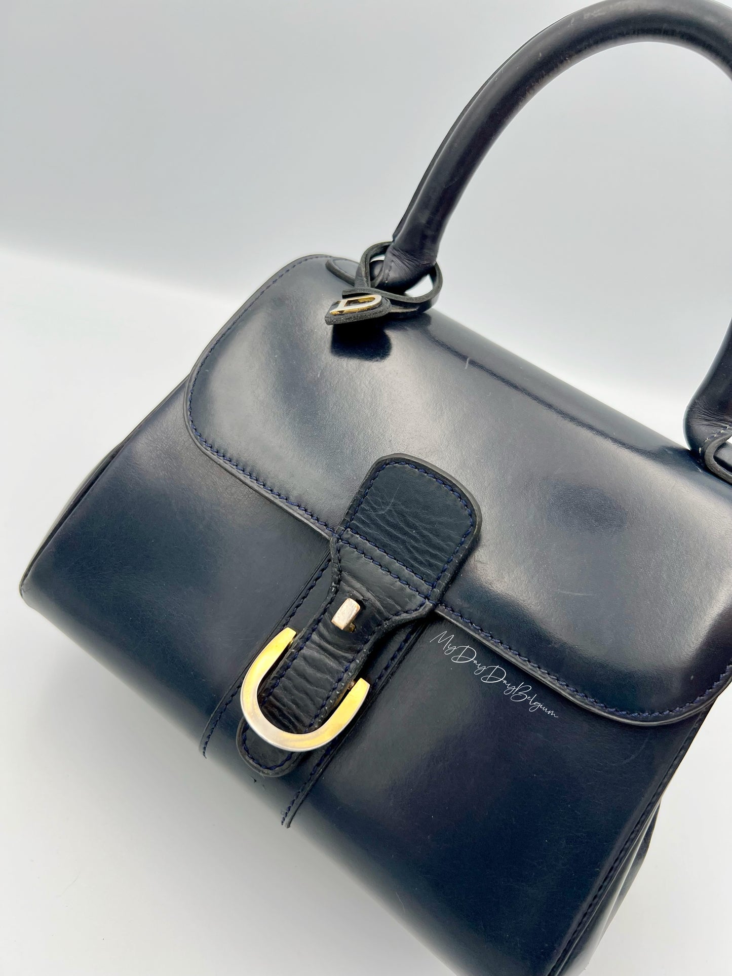 Vintage Delvaux Brillant 1966 special edition