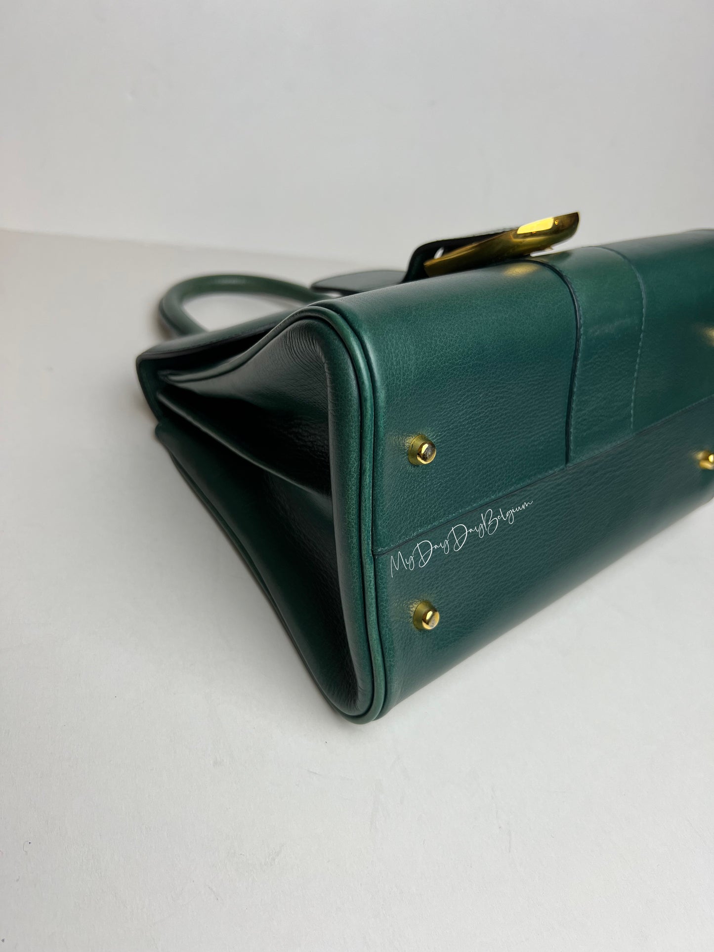 Delvaux Brillant PM in Pine