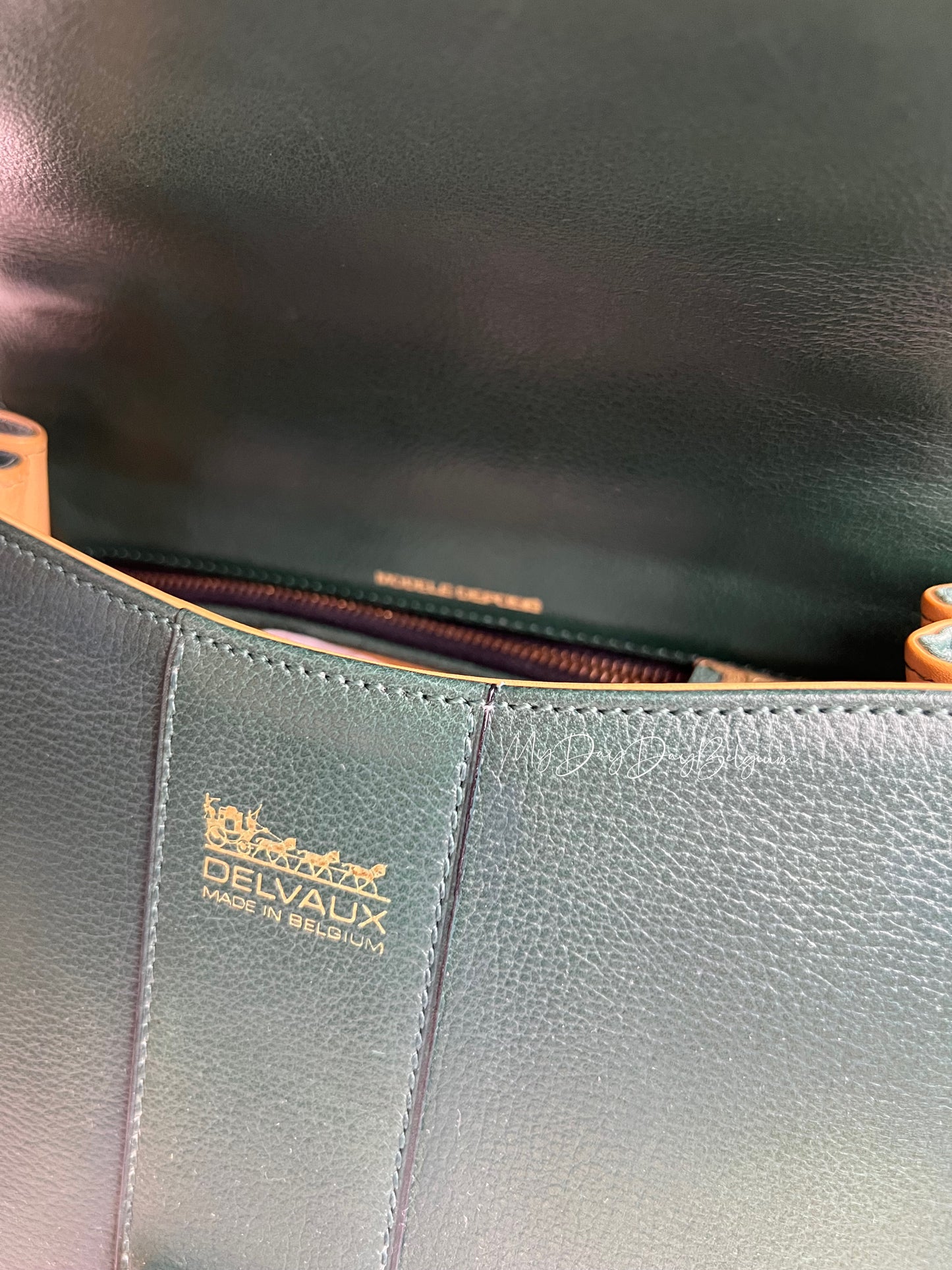 Delvaux Brillant PM in Pine