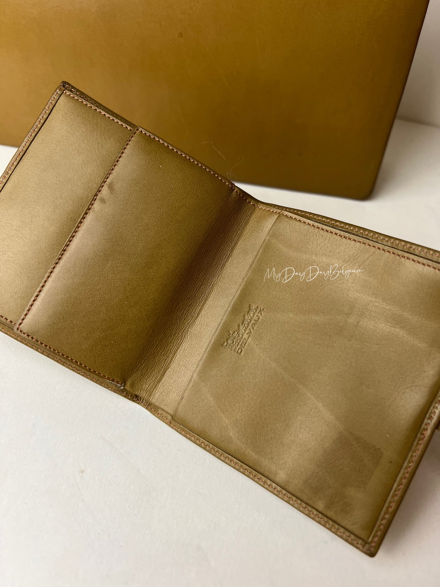 Delvaux leadership 1958