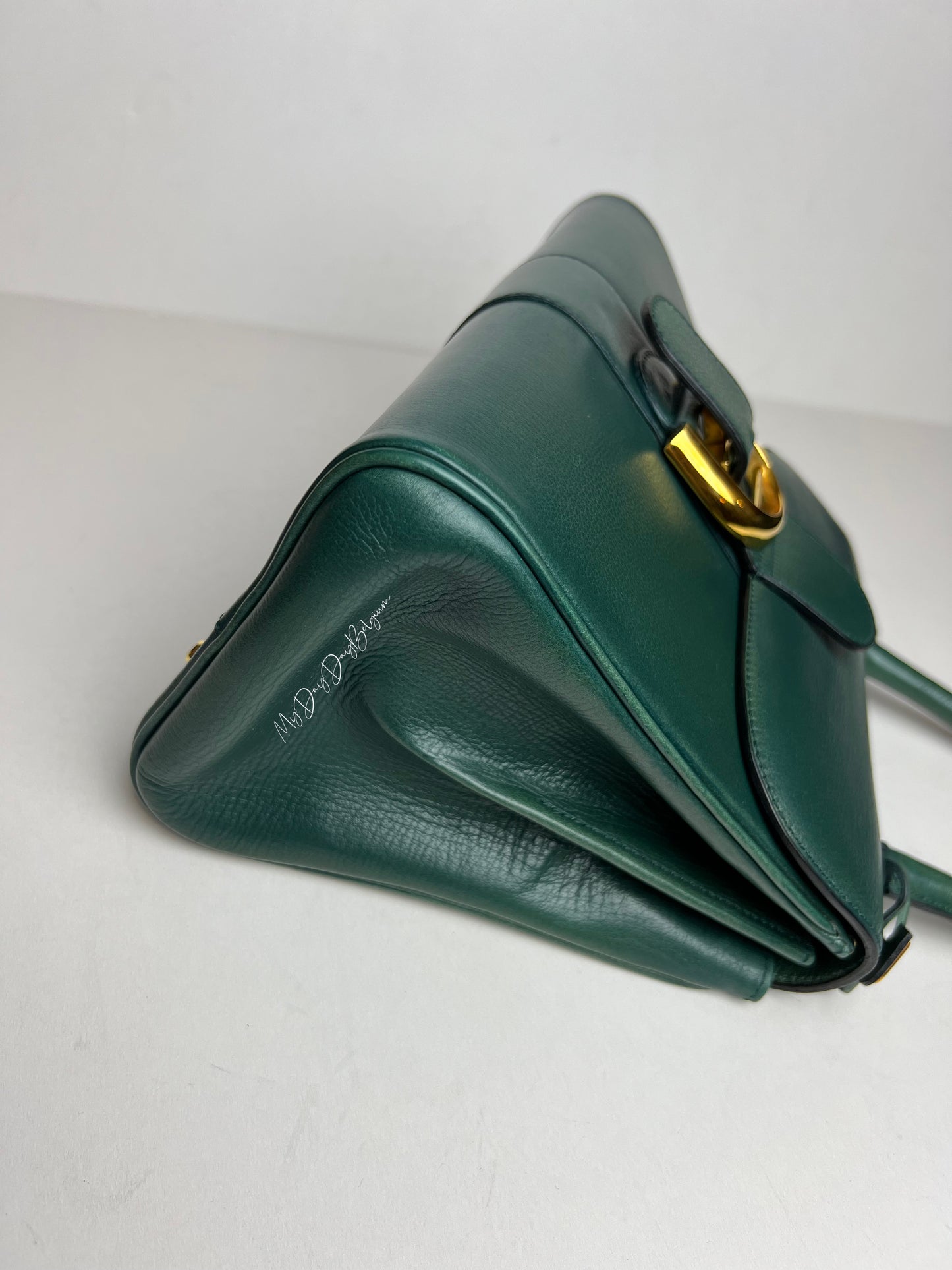 Delvaux Brillant PM in Pine