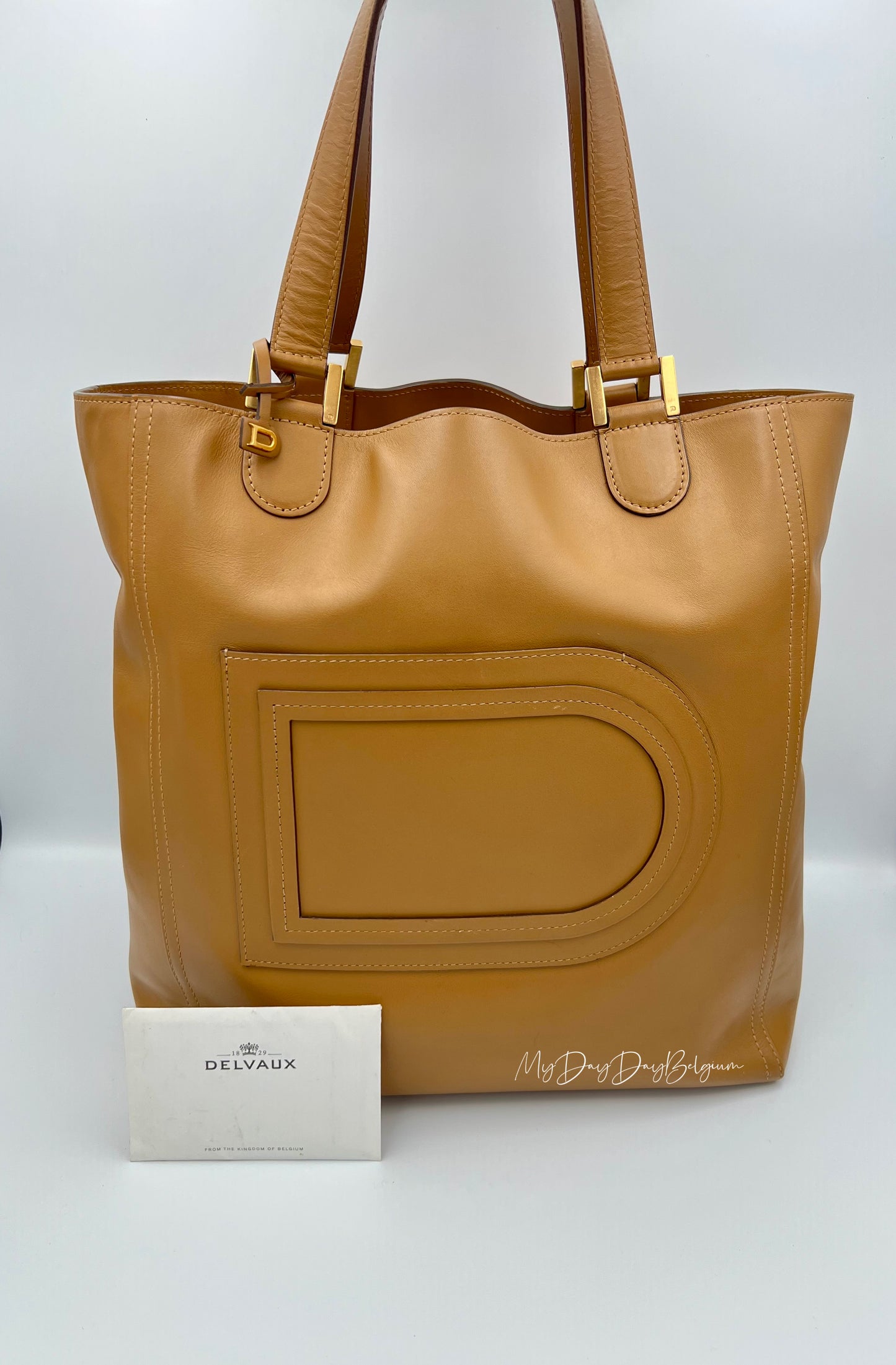 Delvaux Louise Tote Cadence bag vegetale 2015