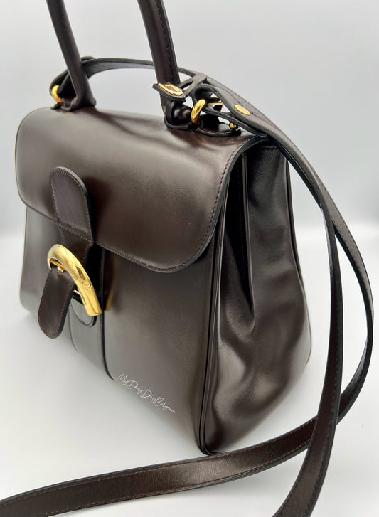 Delvaux Brillant MM in brown