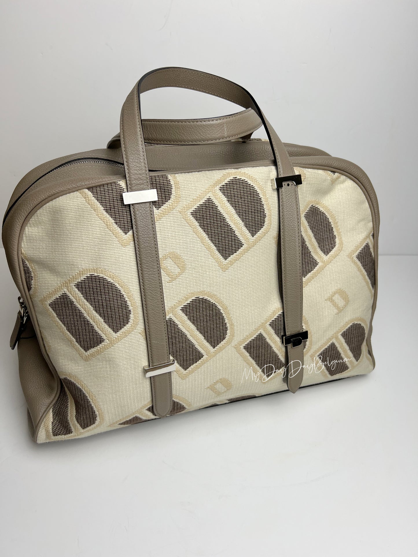 Delvaux travel bag 2014