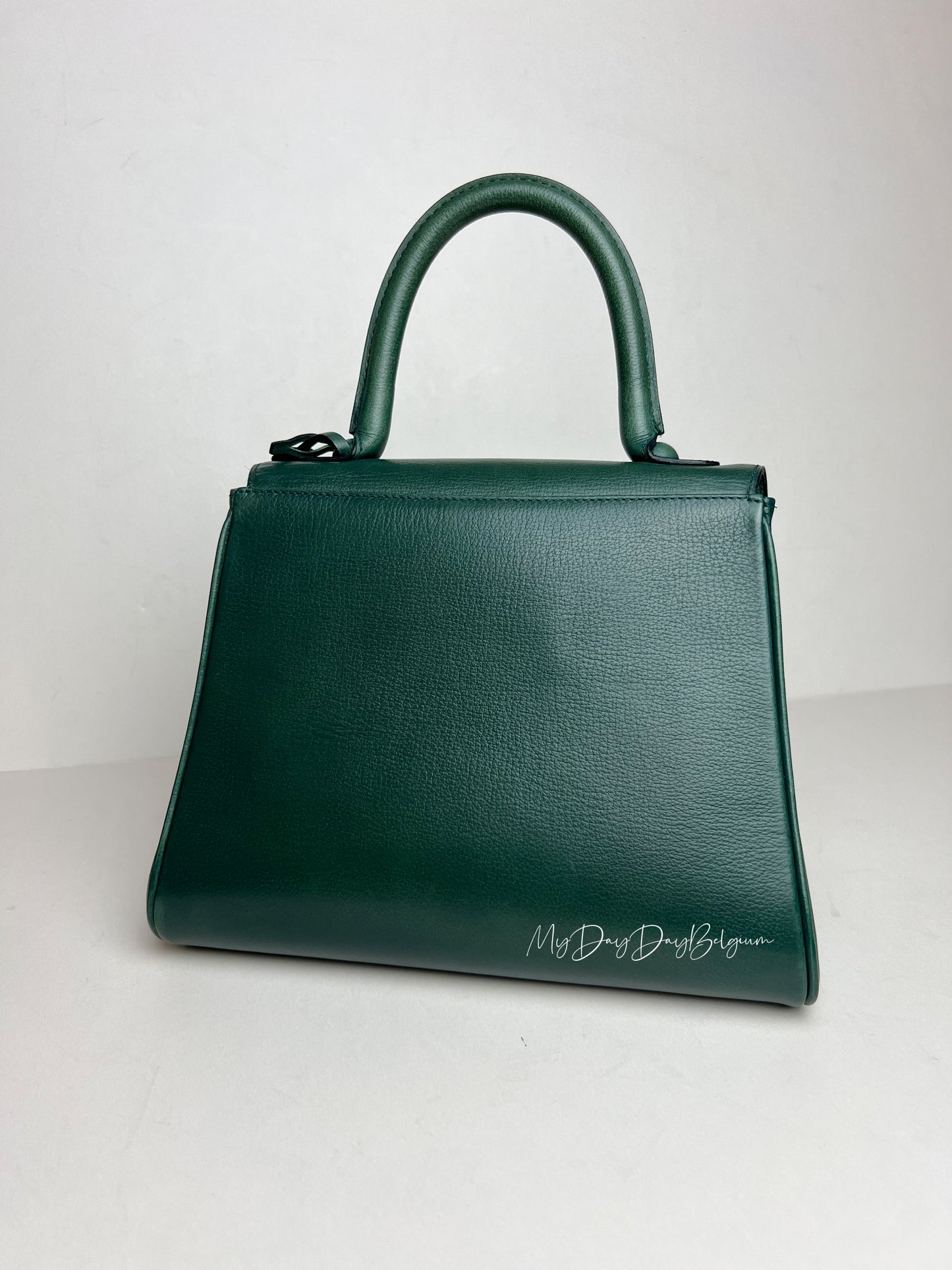 Delvaux Brillant PM in Pine