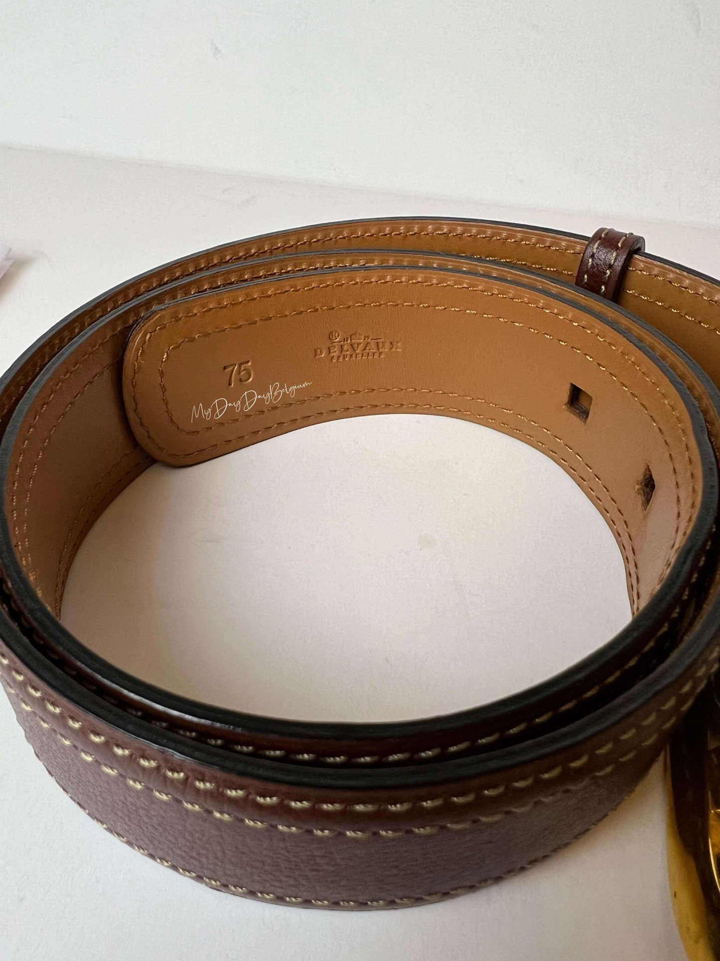 Delvaux accessory