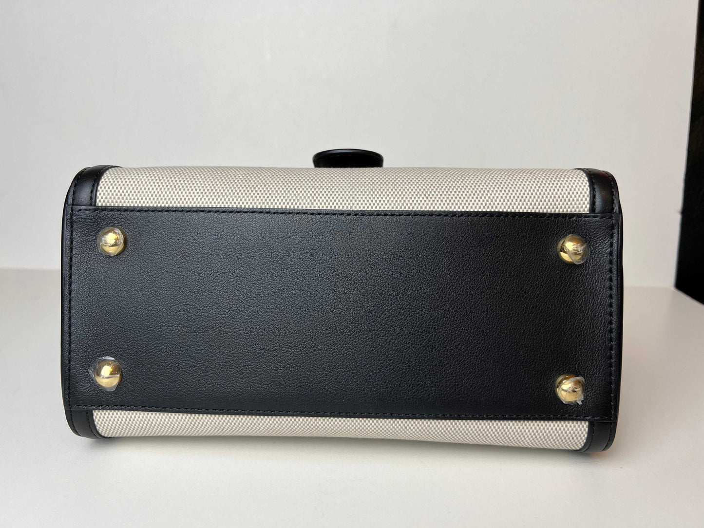 Delvaux Brillant PM canvas