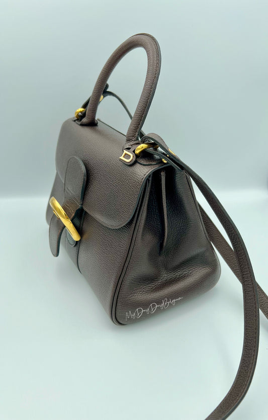 Delvaux Brillant PM in brown 1996