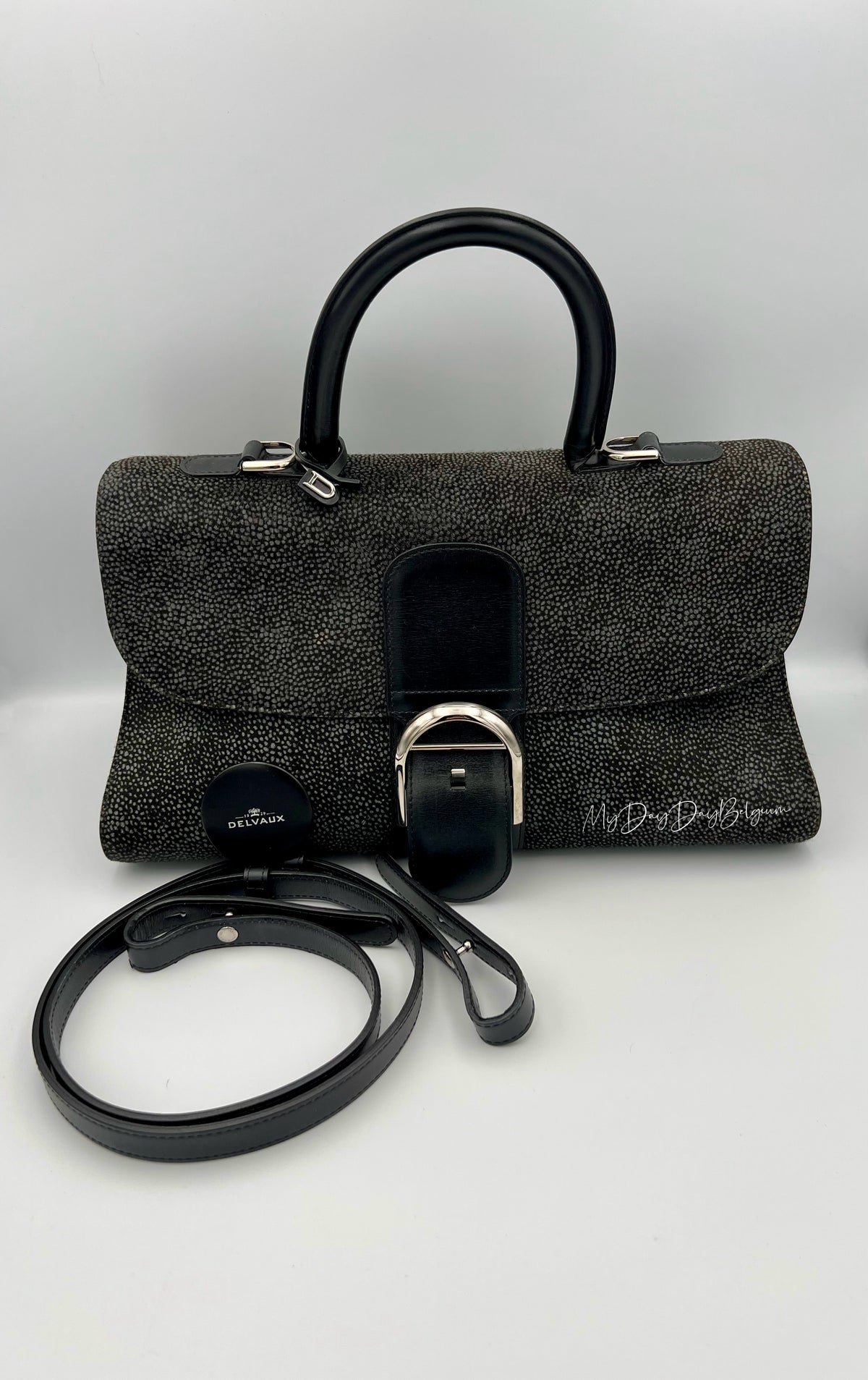 Delvaux Brillant East West 2018