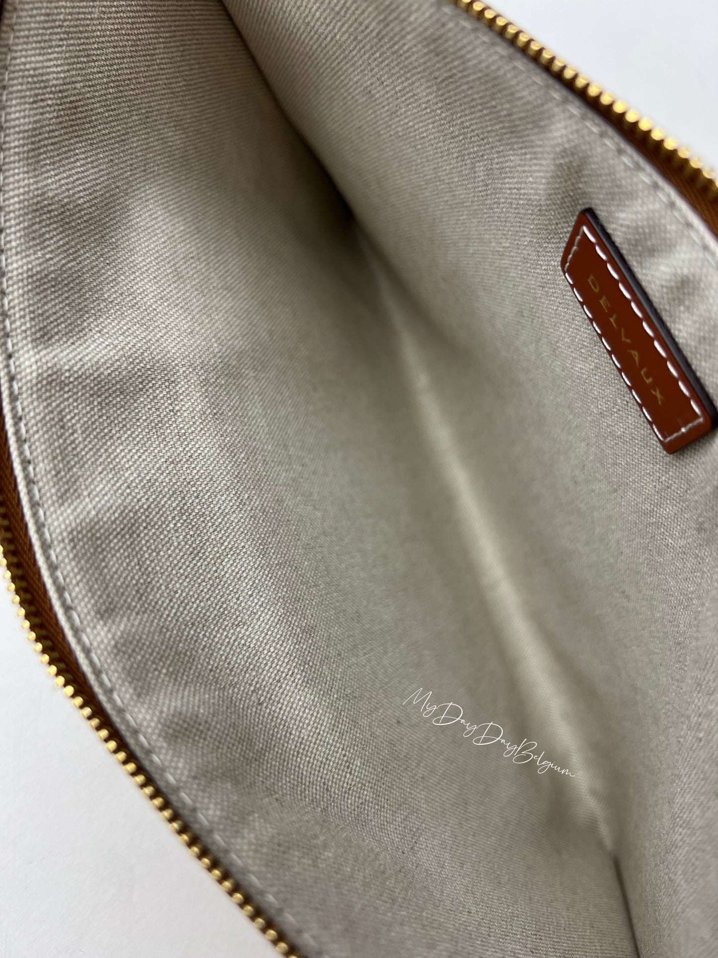 Delvaux Frame Pouch Canvas 2022