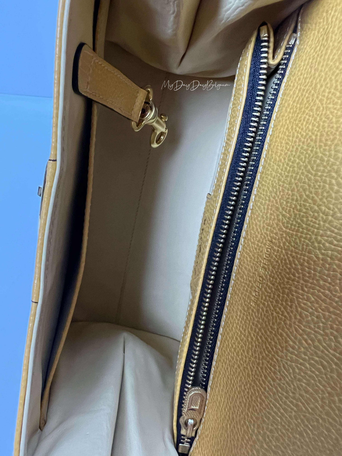 Delvaux Brillant