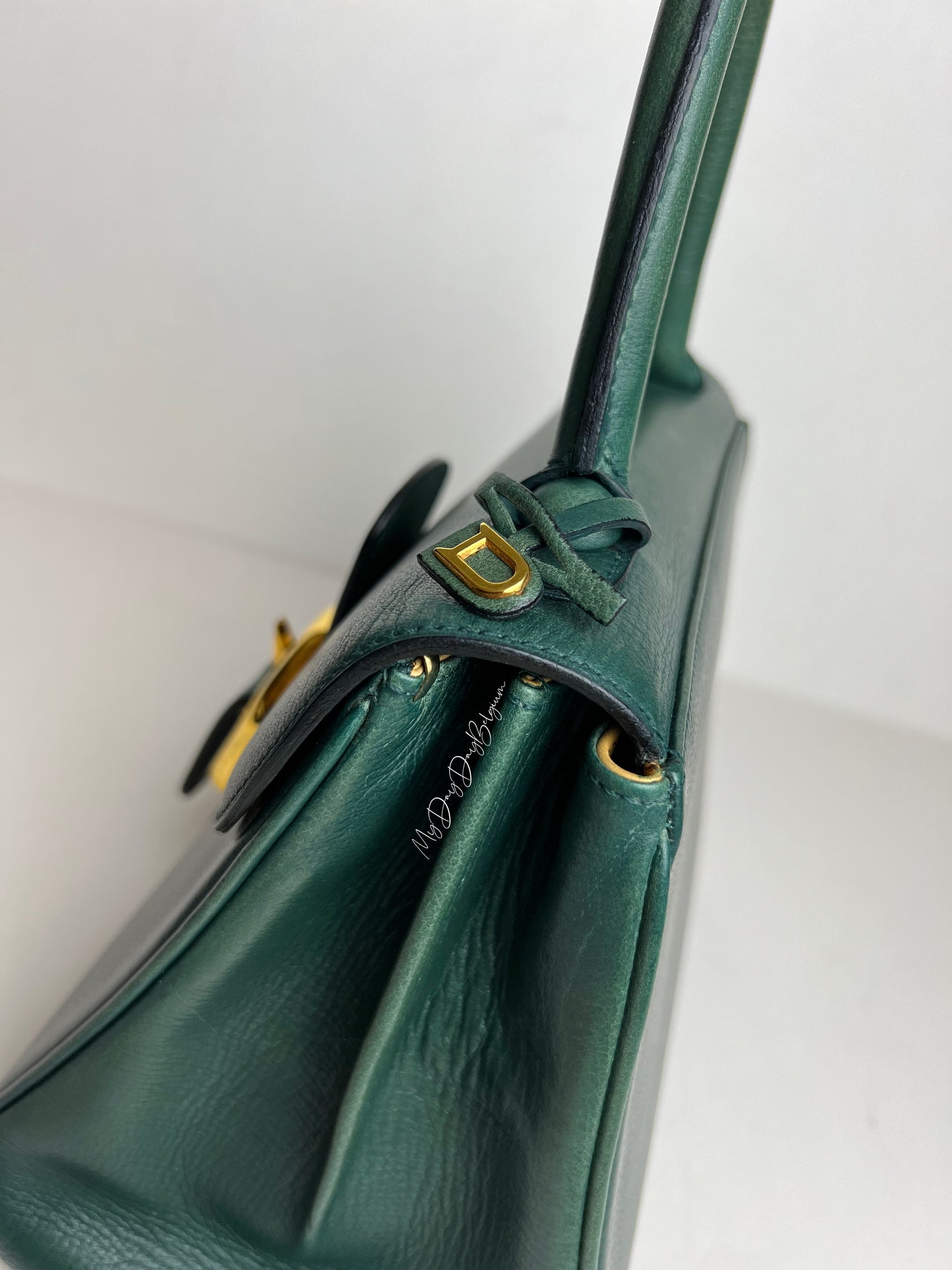 Delvaux Brillant PM in Pine