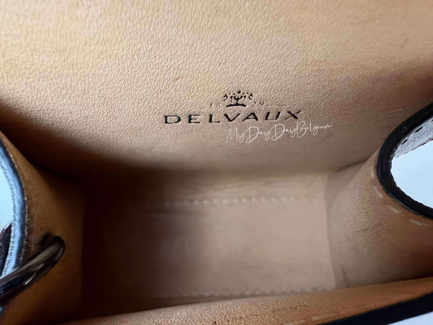 Delvaux Brillant