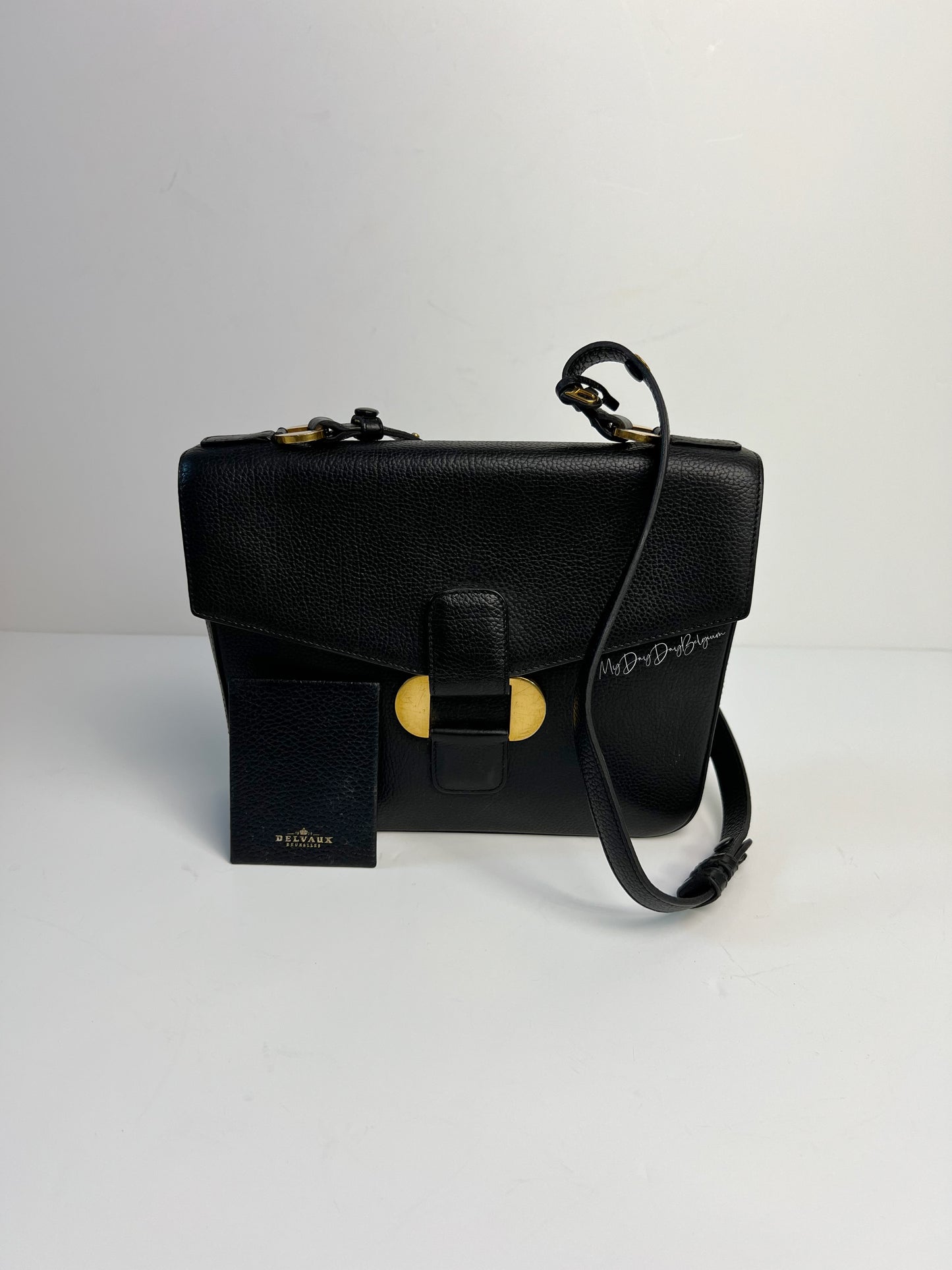 Vintage Delvaux crossbody Citoyen 1989