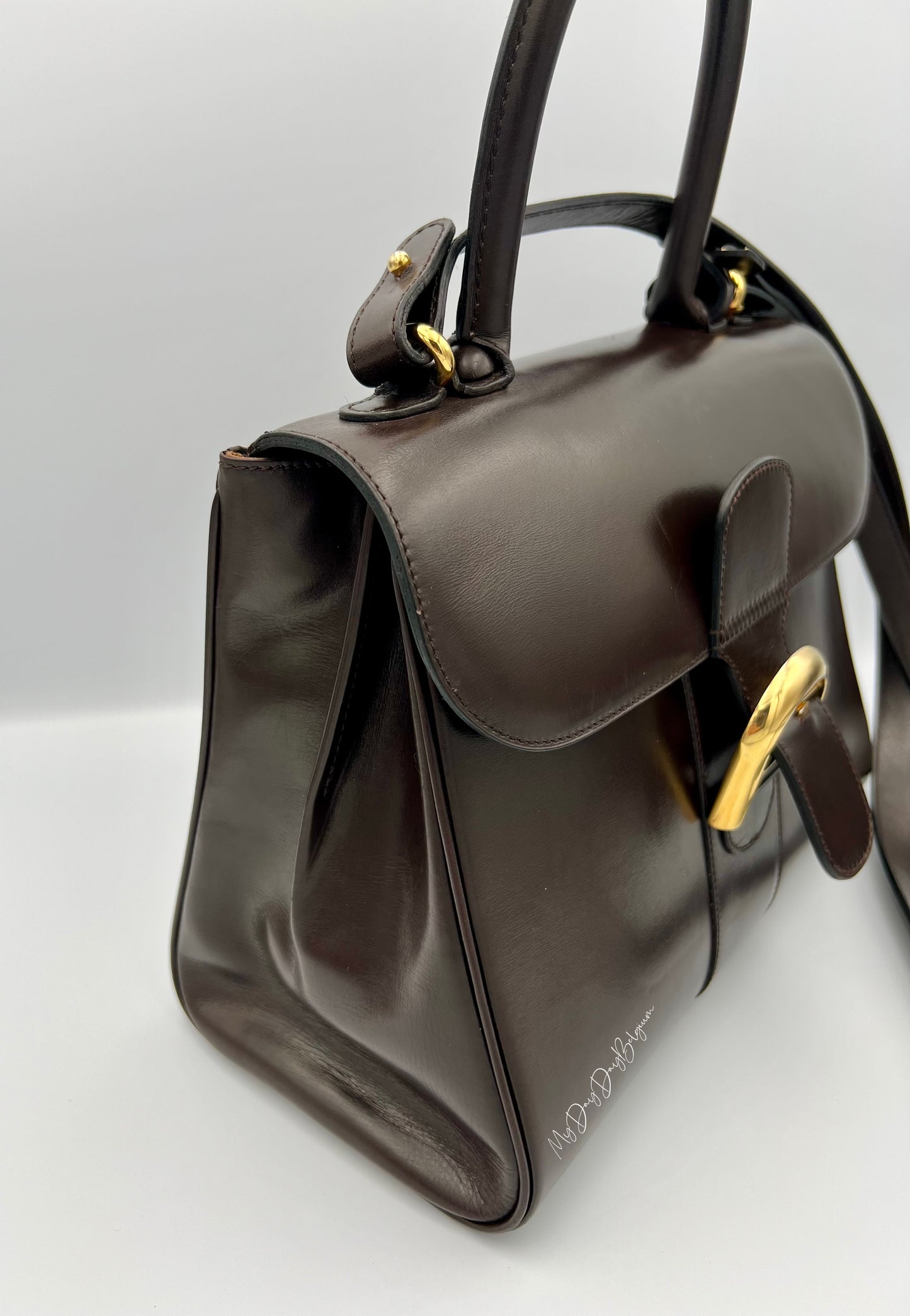 Delvaux Brillant MM in brown