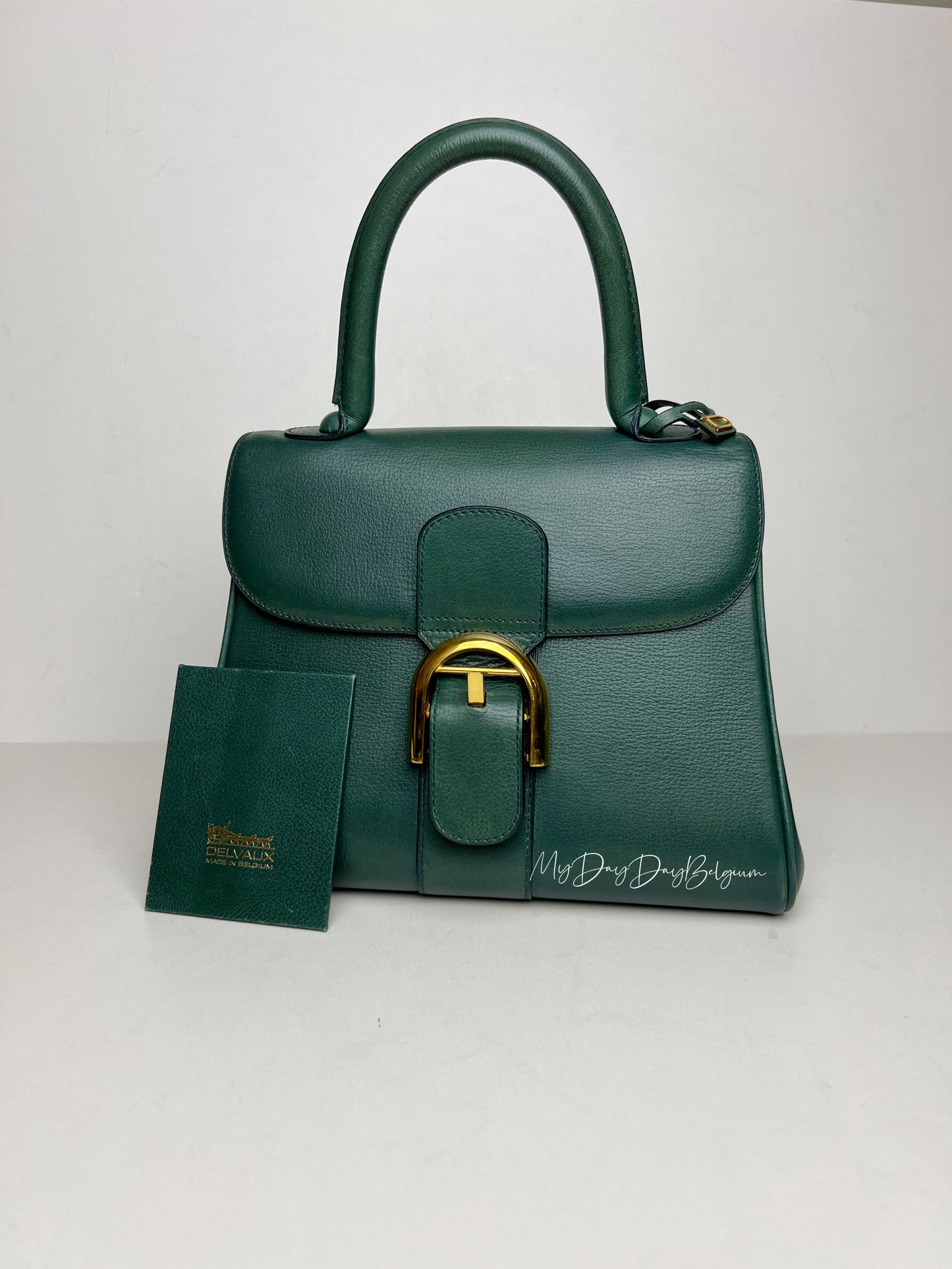 Delvaux Brillant PM in Pine