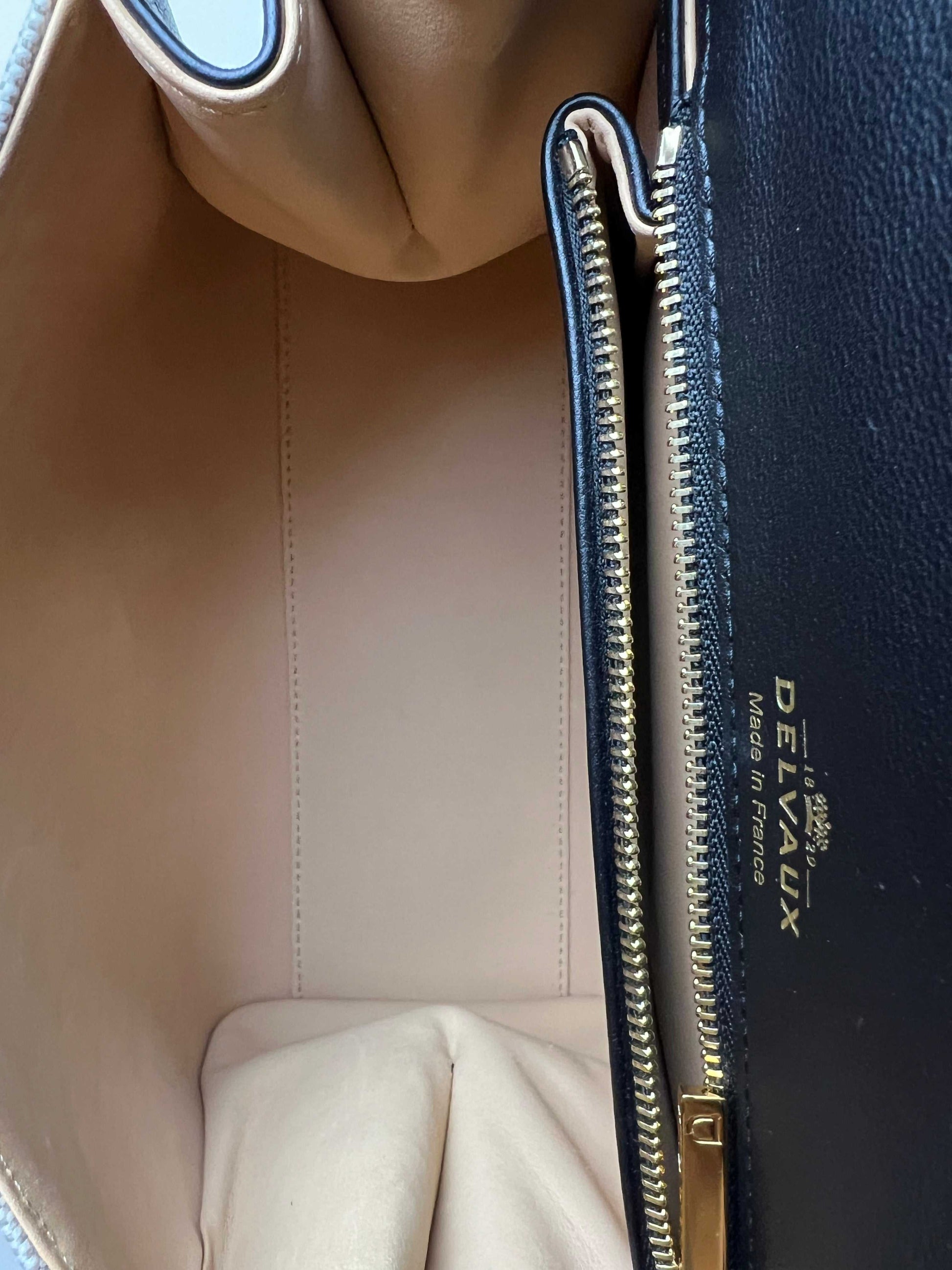 Delvaux Brillant PM canvas