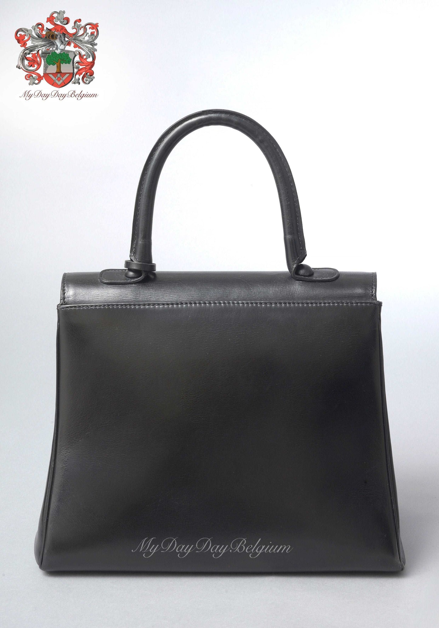 Delvaux Brillant MM