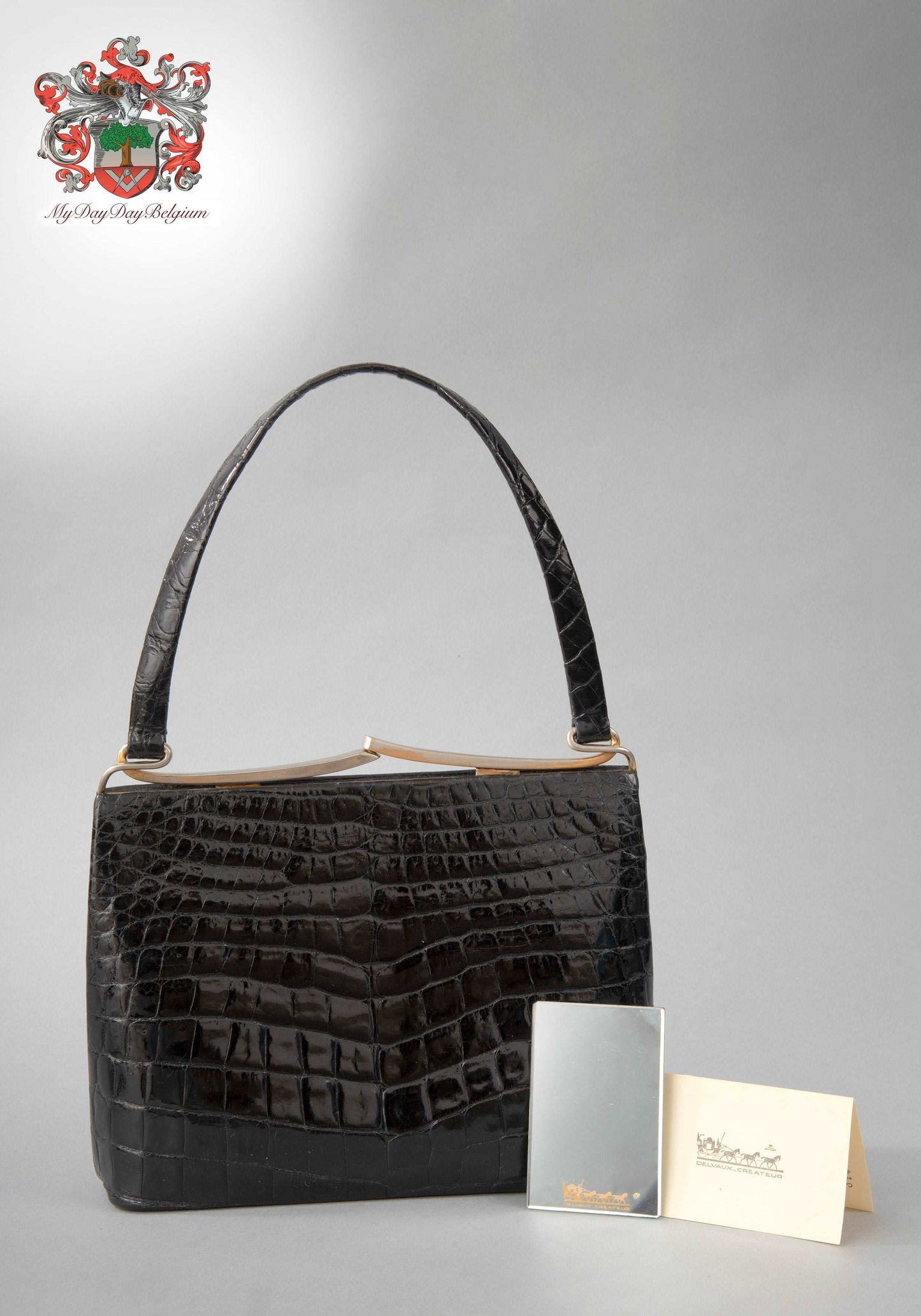 Delvaux vintage handbag in croco leather 1960