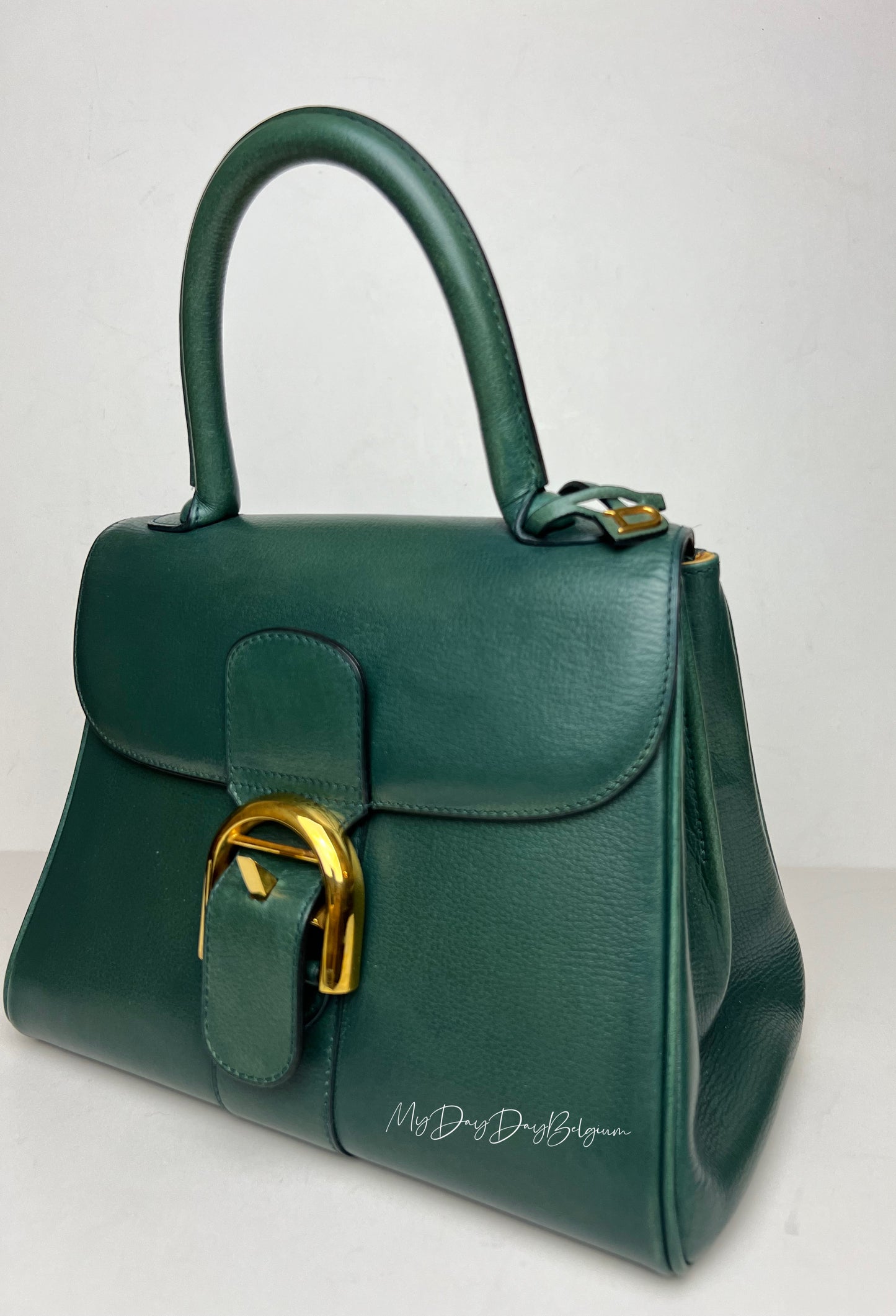 Delvaux Brillant PM in Pine