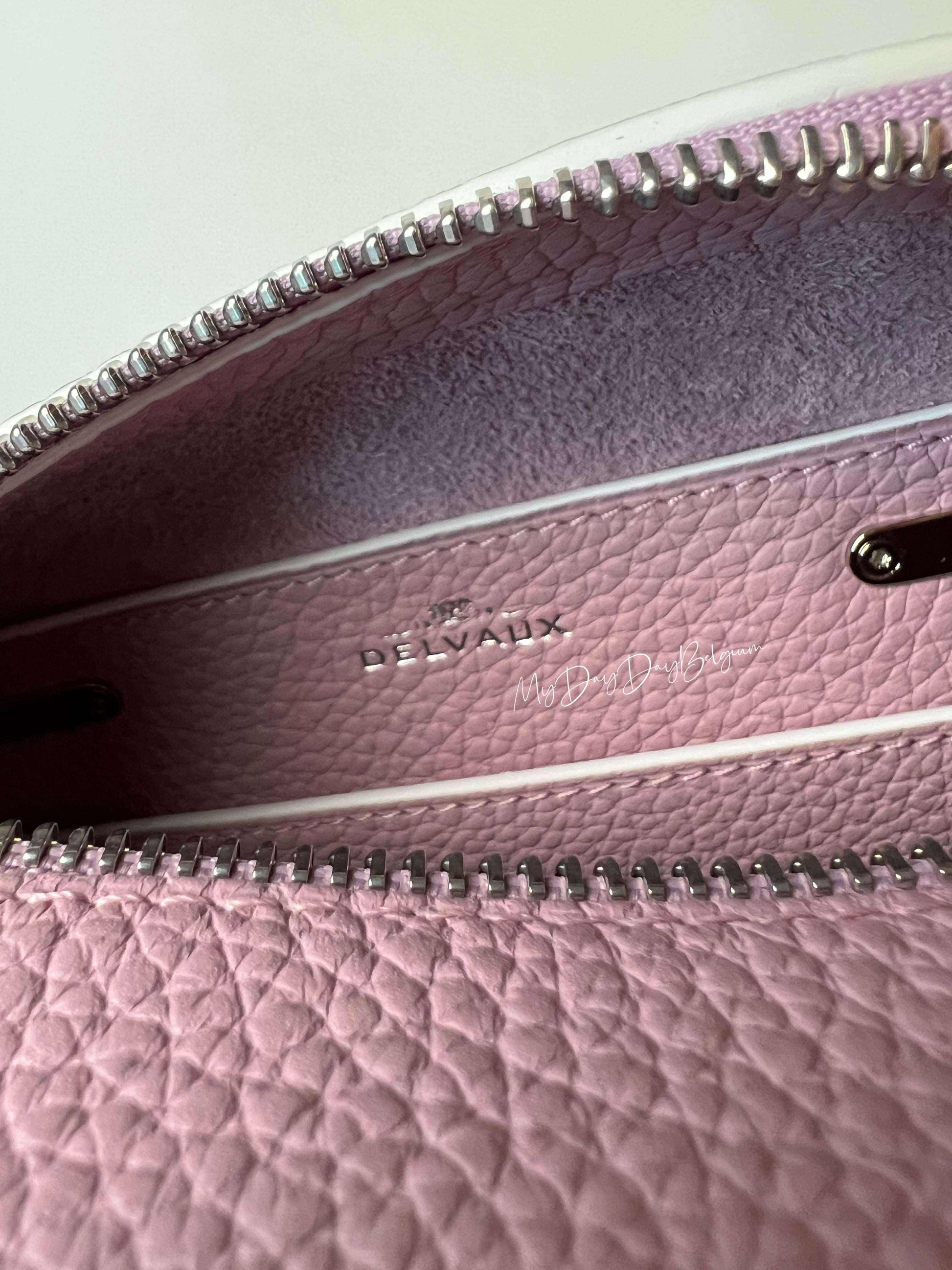 Delvaux Cool Box