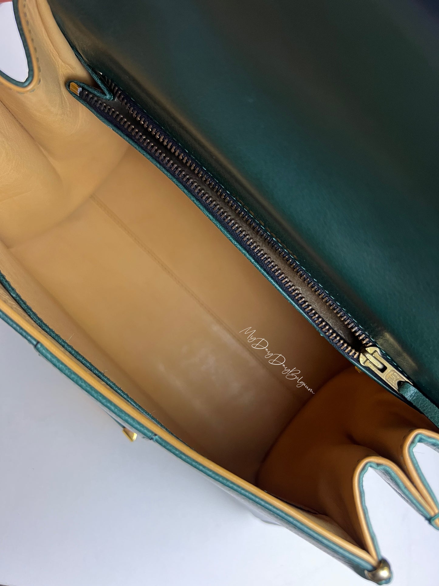 Delvaux Brillant PM in Pine