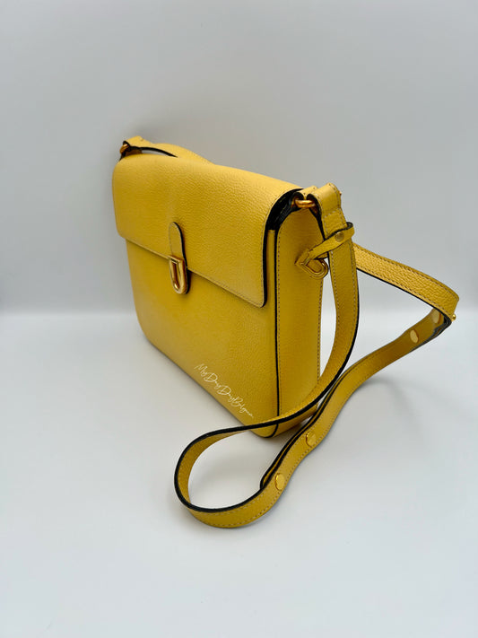 Delvaux crossbody in jumping leather pollen colour 1980s