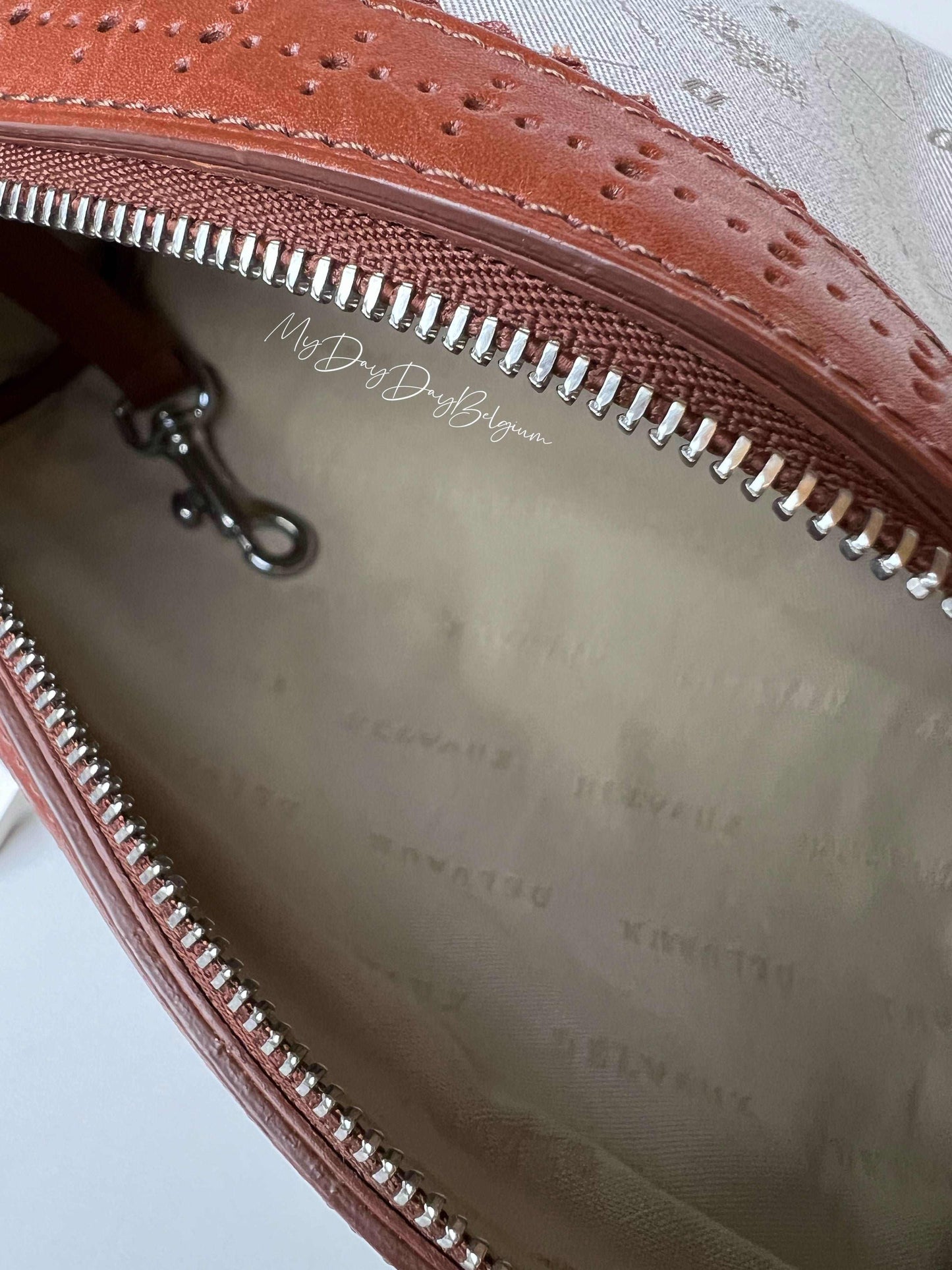 Delvaux Lily