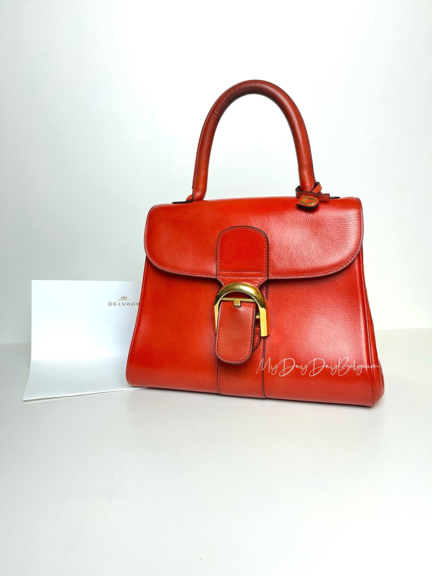 Delvaux Brillant PM light rouge