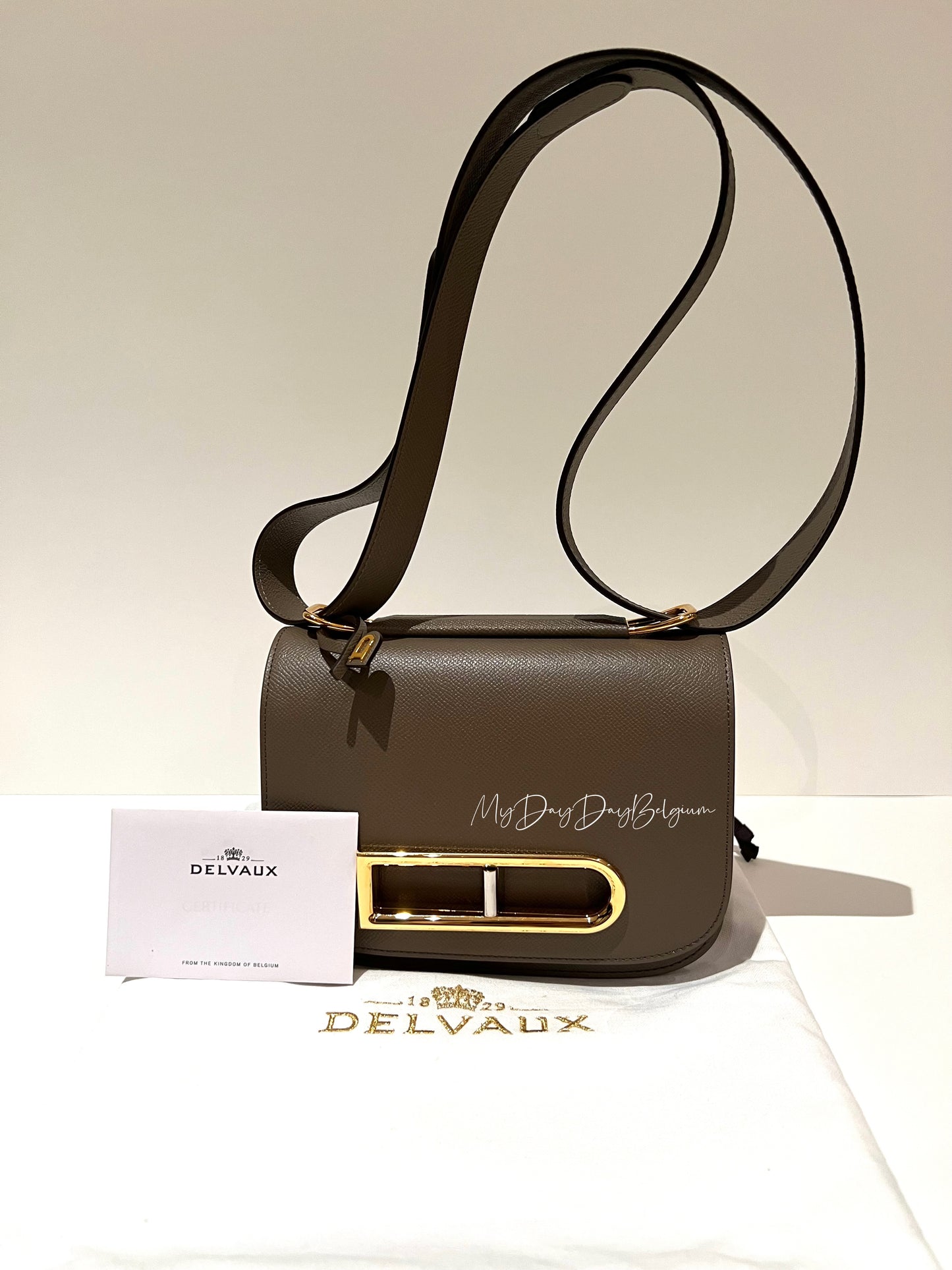 Delvaux Lingot