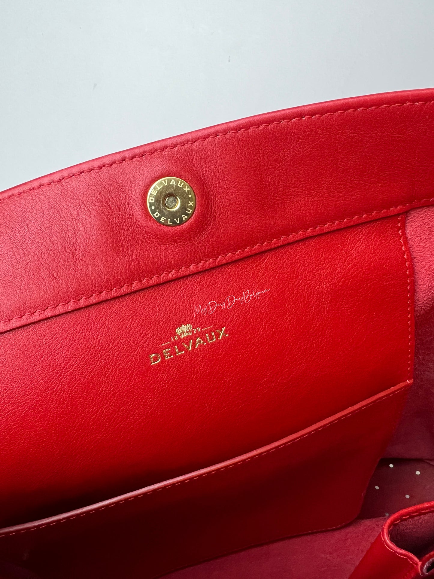 Delvaux Pin 2015