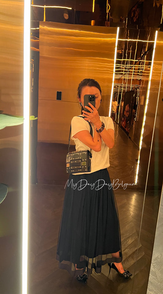 Delvaux Madame iron shield black edition 2017