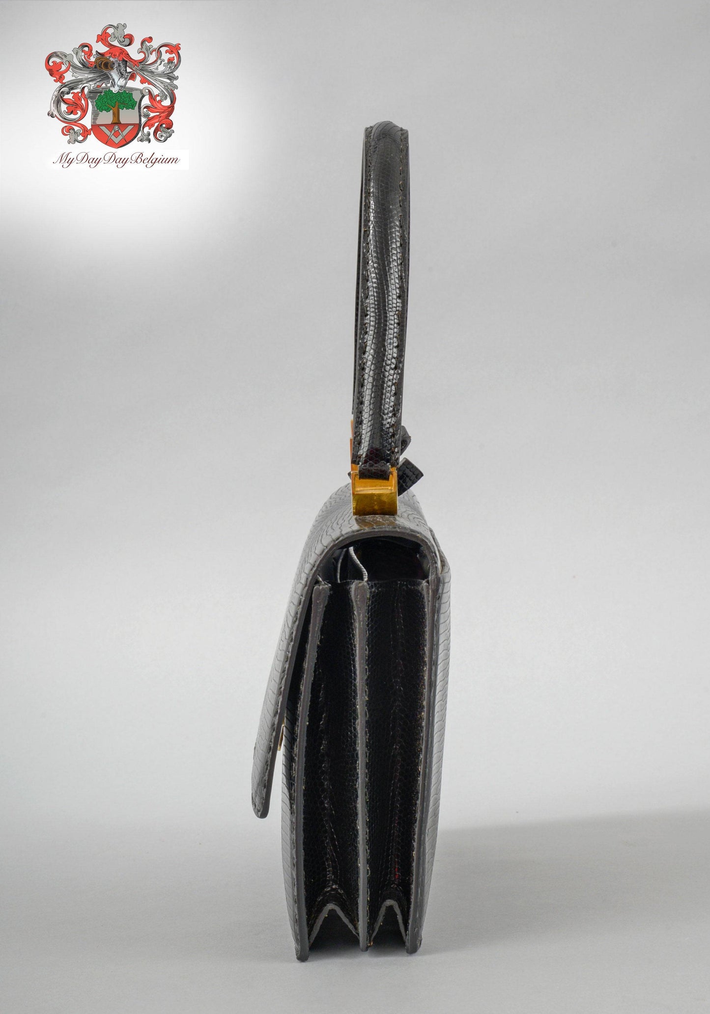 Delvaux vintage top handle handbag in lizard leather 1974
