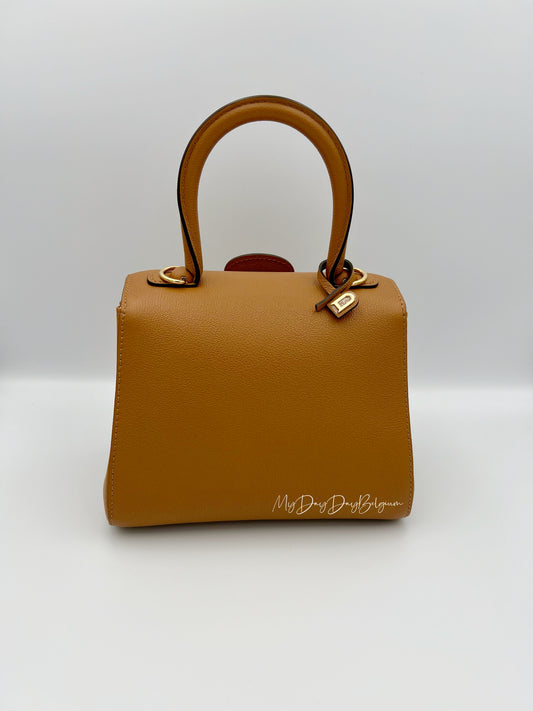 Delvaux Brillant Mini