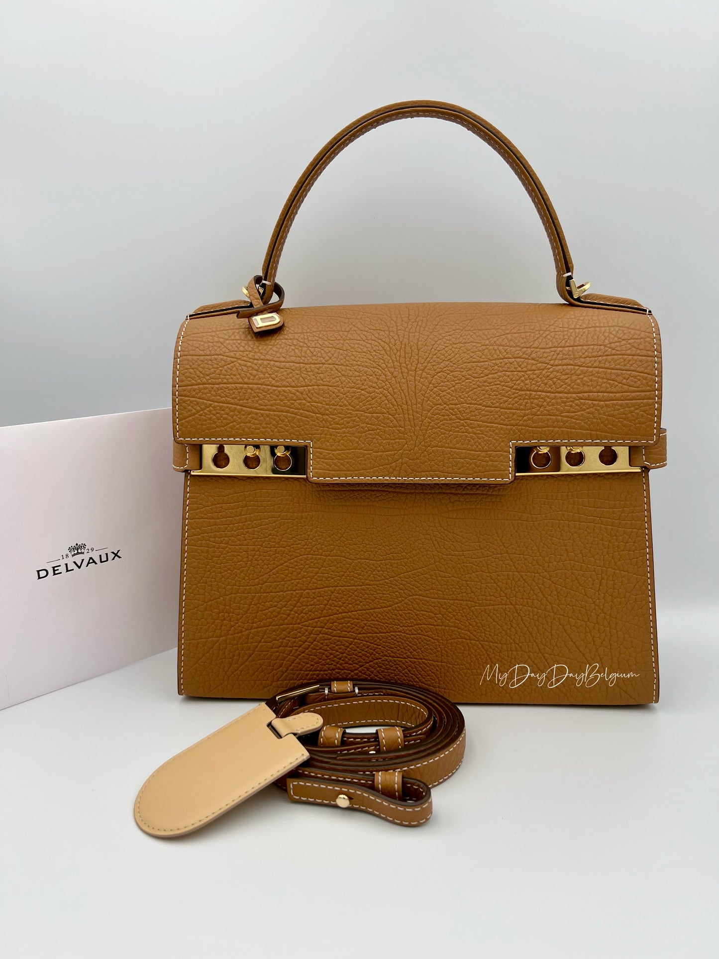 Delvaux Tempête MM crispy calf vegetale 2025