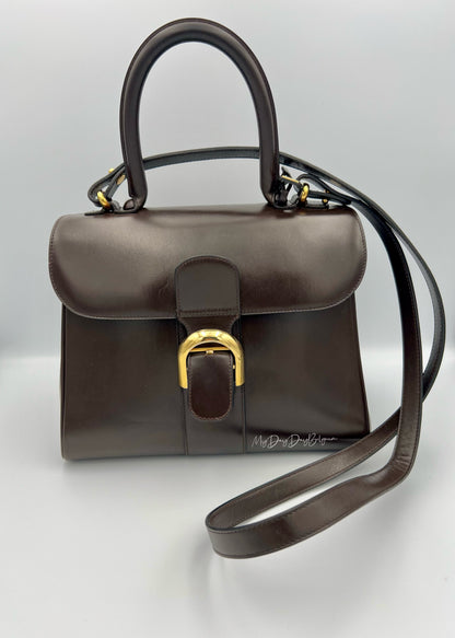 Delvaux Brillant Late 1980's MM in brown