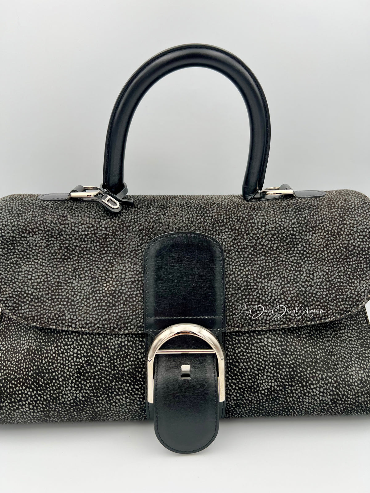 Delvaux Brillant East West 2018