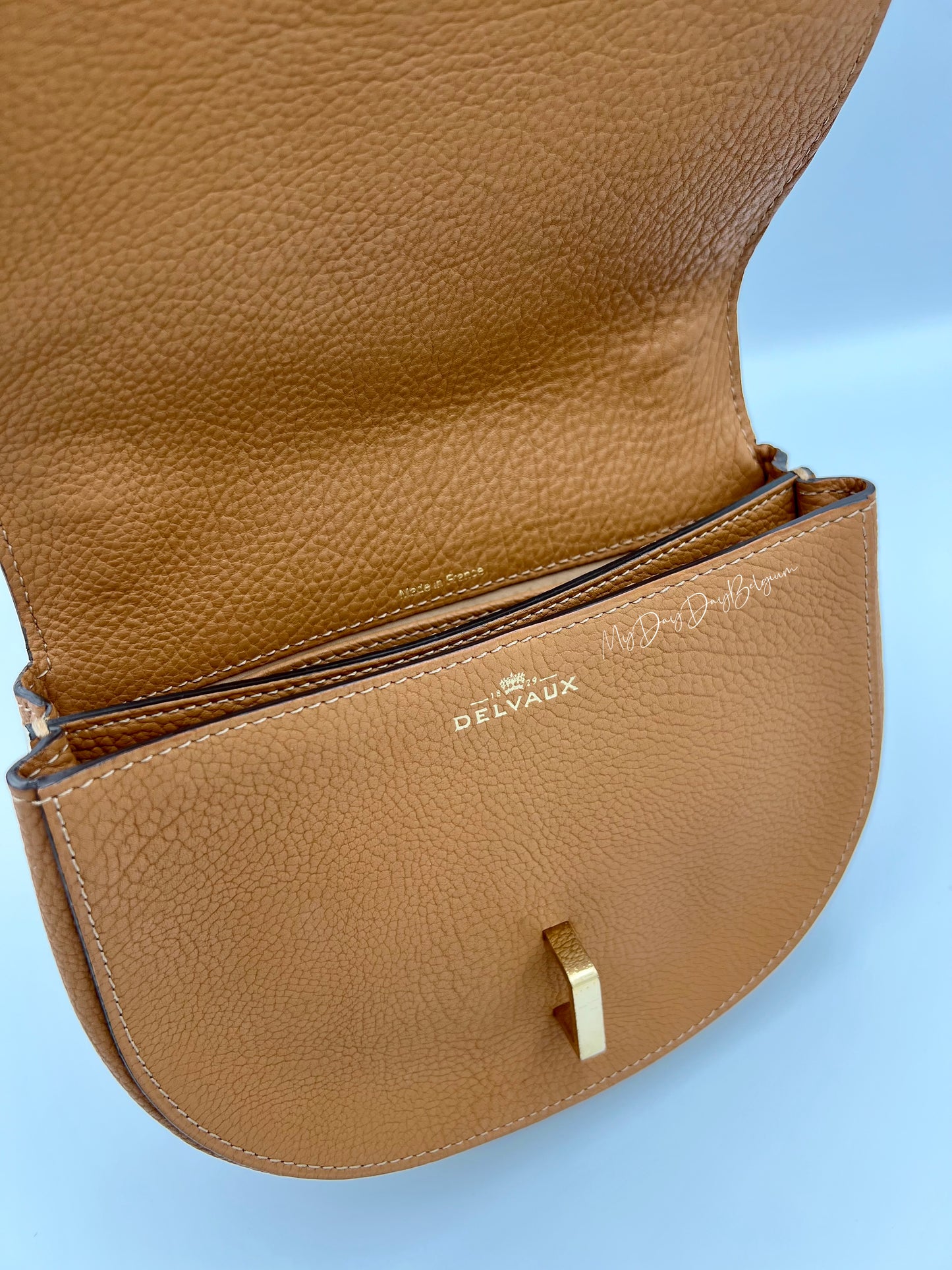 Delvaux Mutin mini crossbody bag crispy calf vegetal 2018