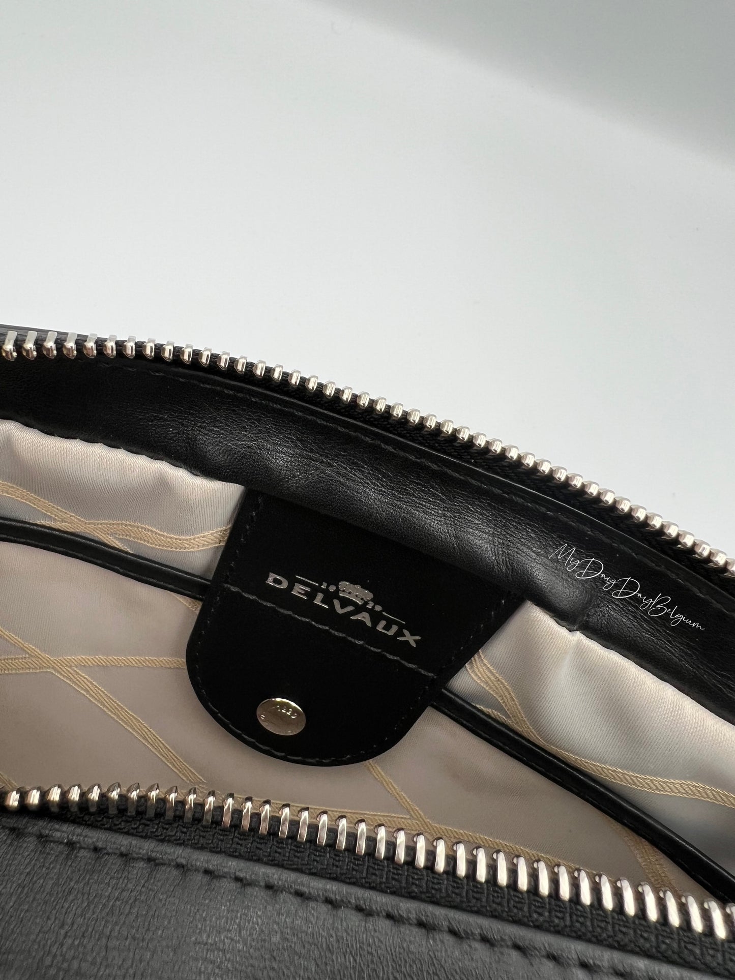 Delvaux Louise crossover camera bag 2015