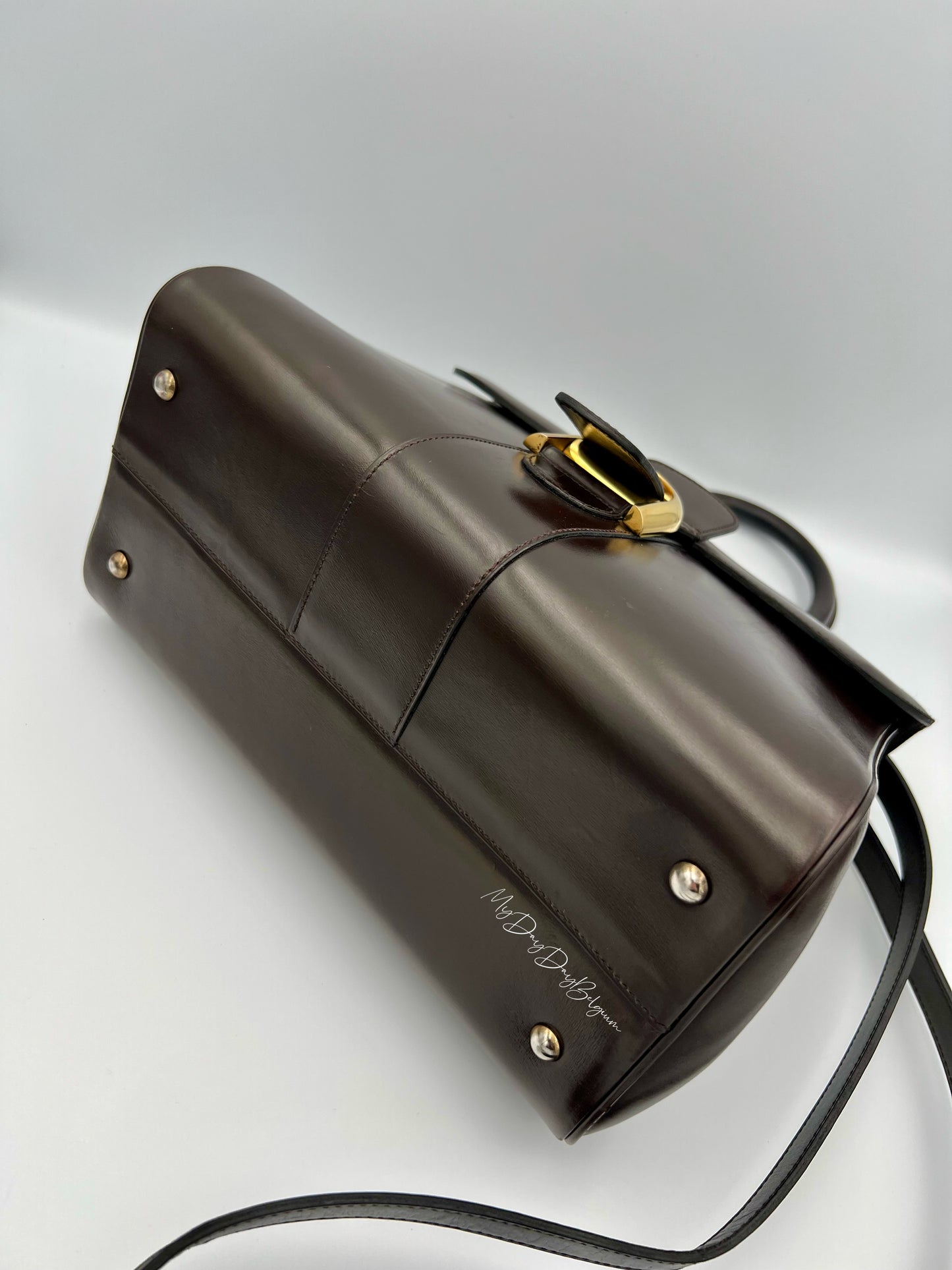 Delvaux Brillant MM in brown