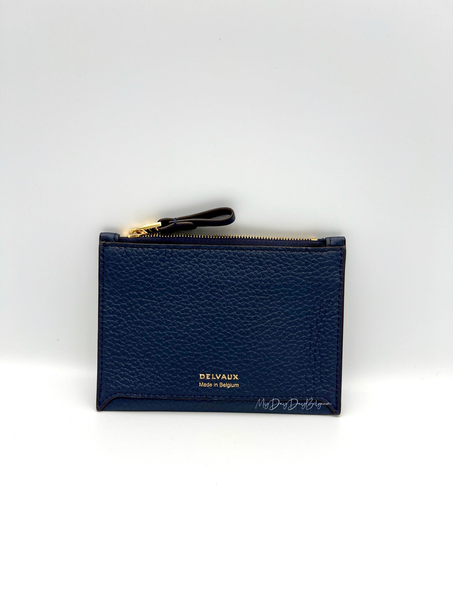 Delvaux Pin D Pouch Mini night sky 2023
