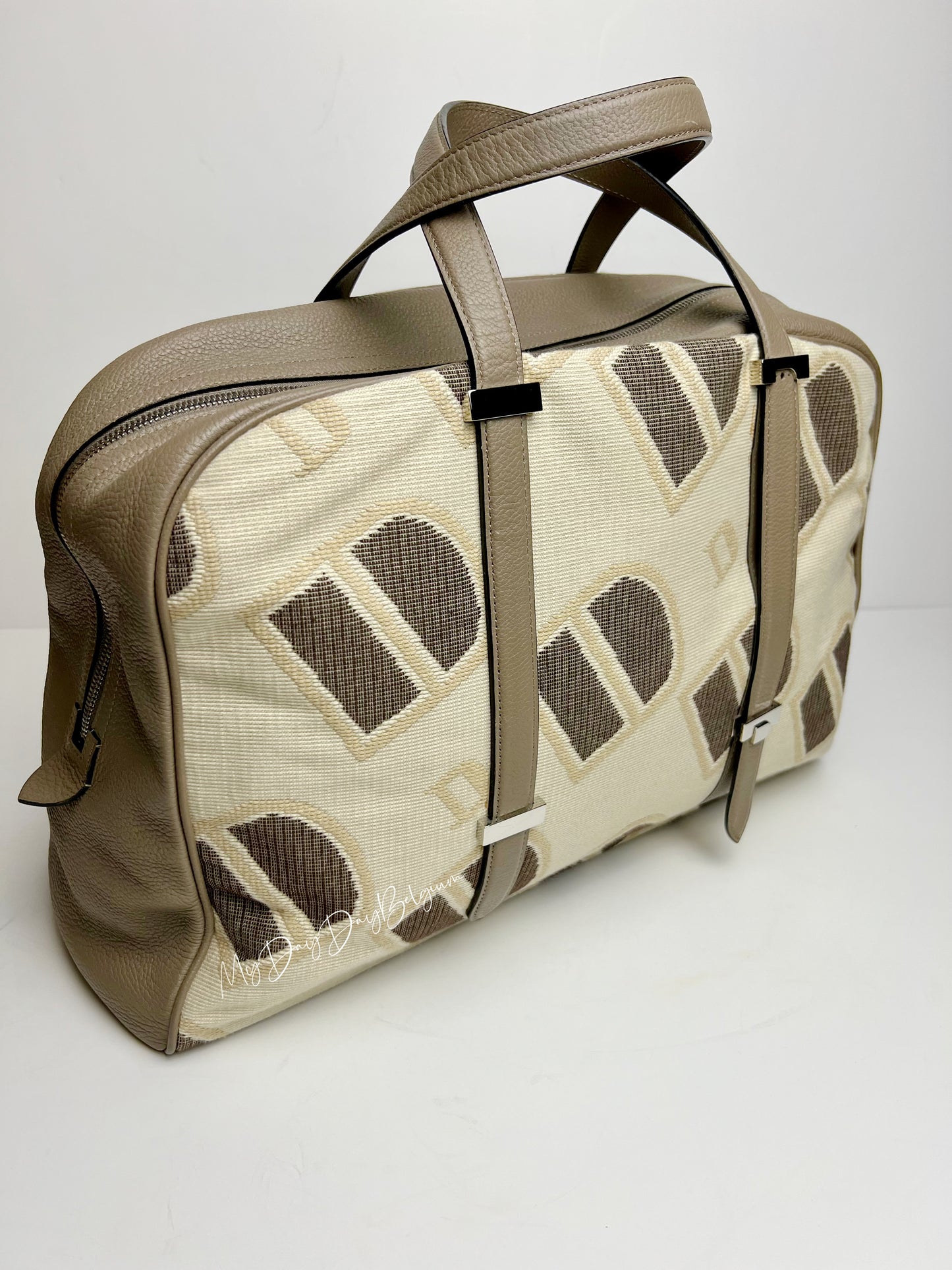 Delvaux travel bag 2014