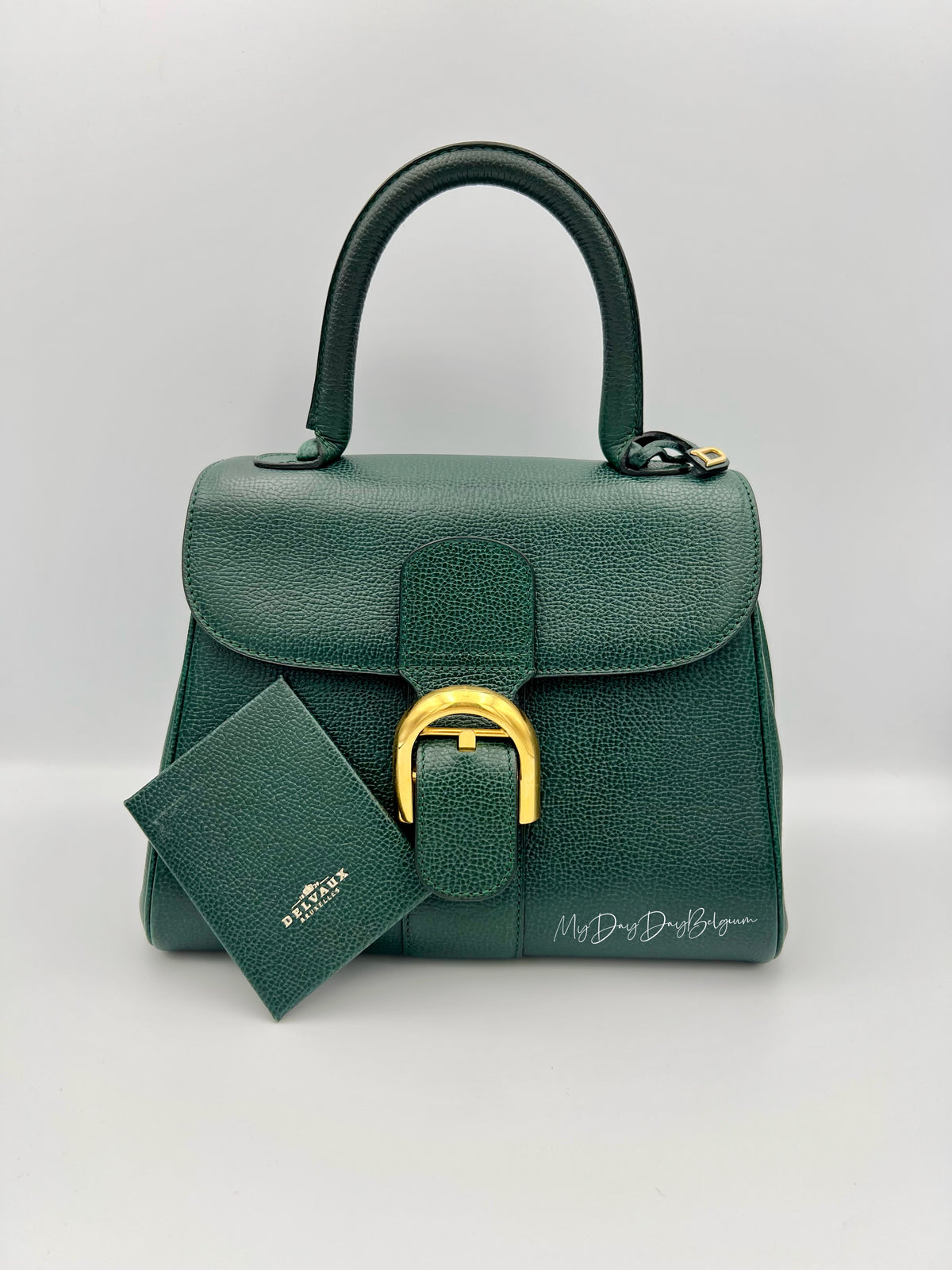 Vintage Delvaux PM forest green